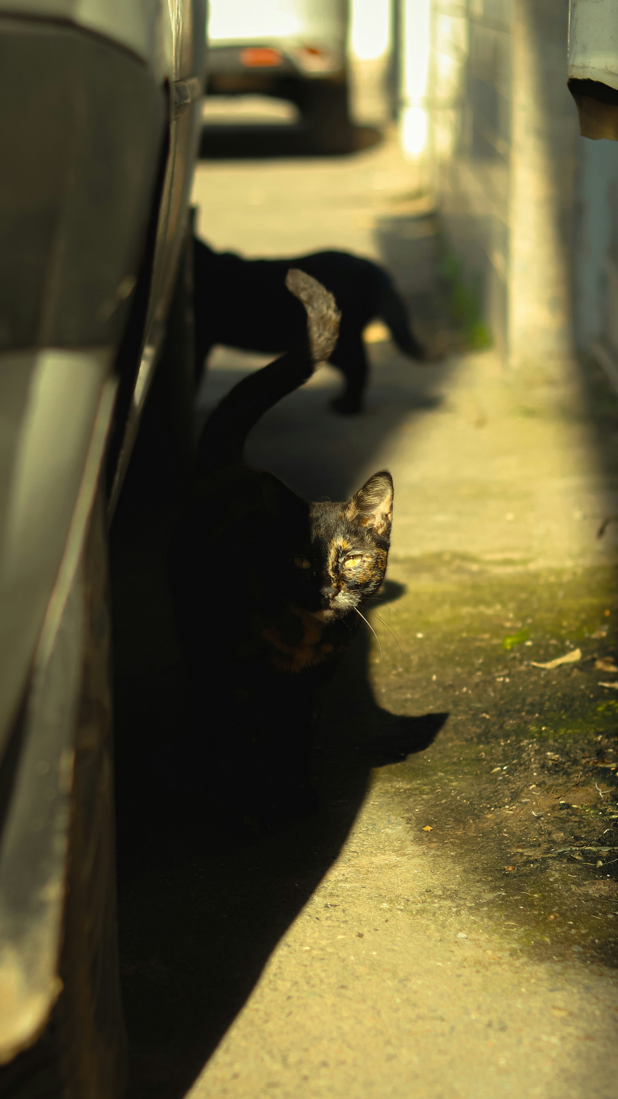 Photo by alireza_hashemi