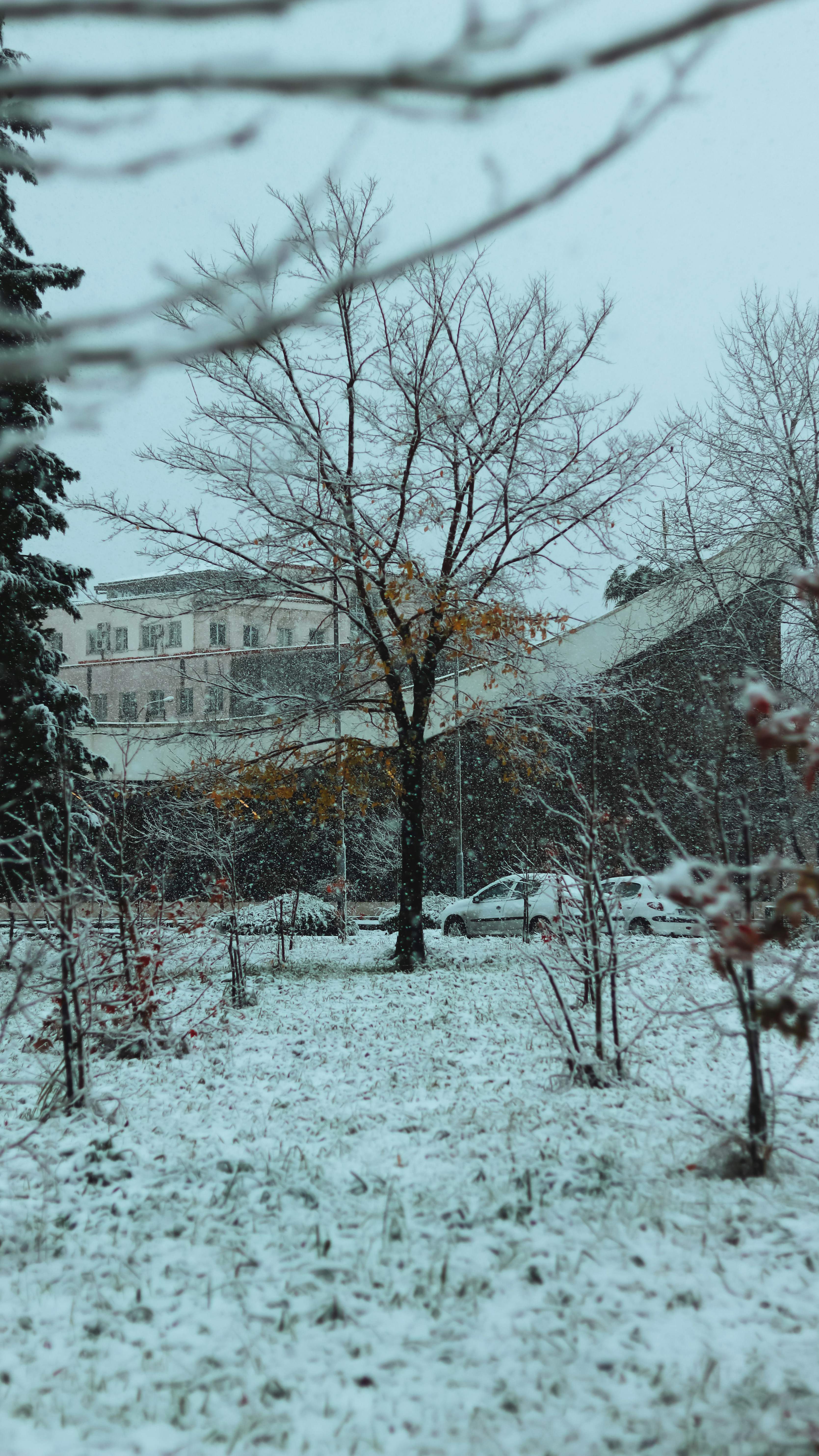 Photo by alireza_hashemi