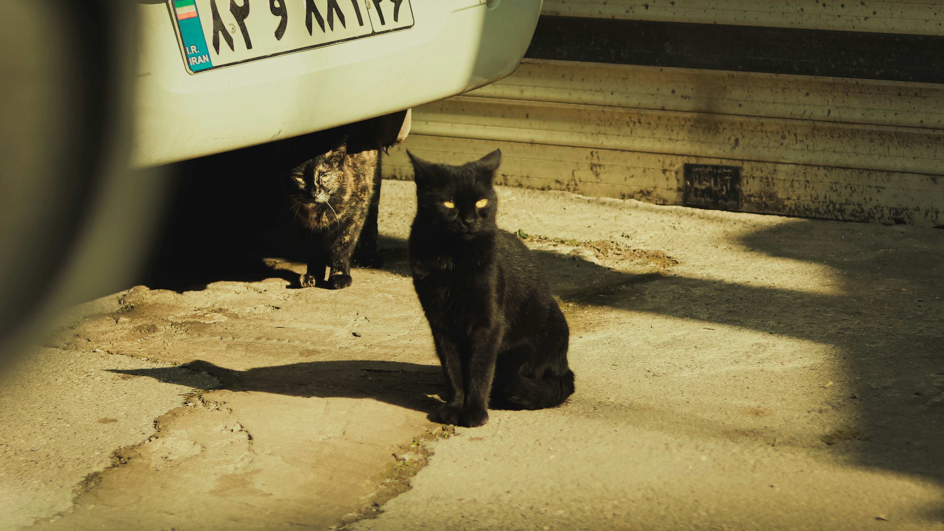 Photo by alireza_hashemi