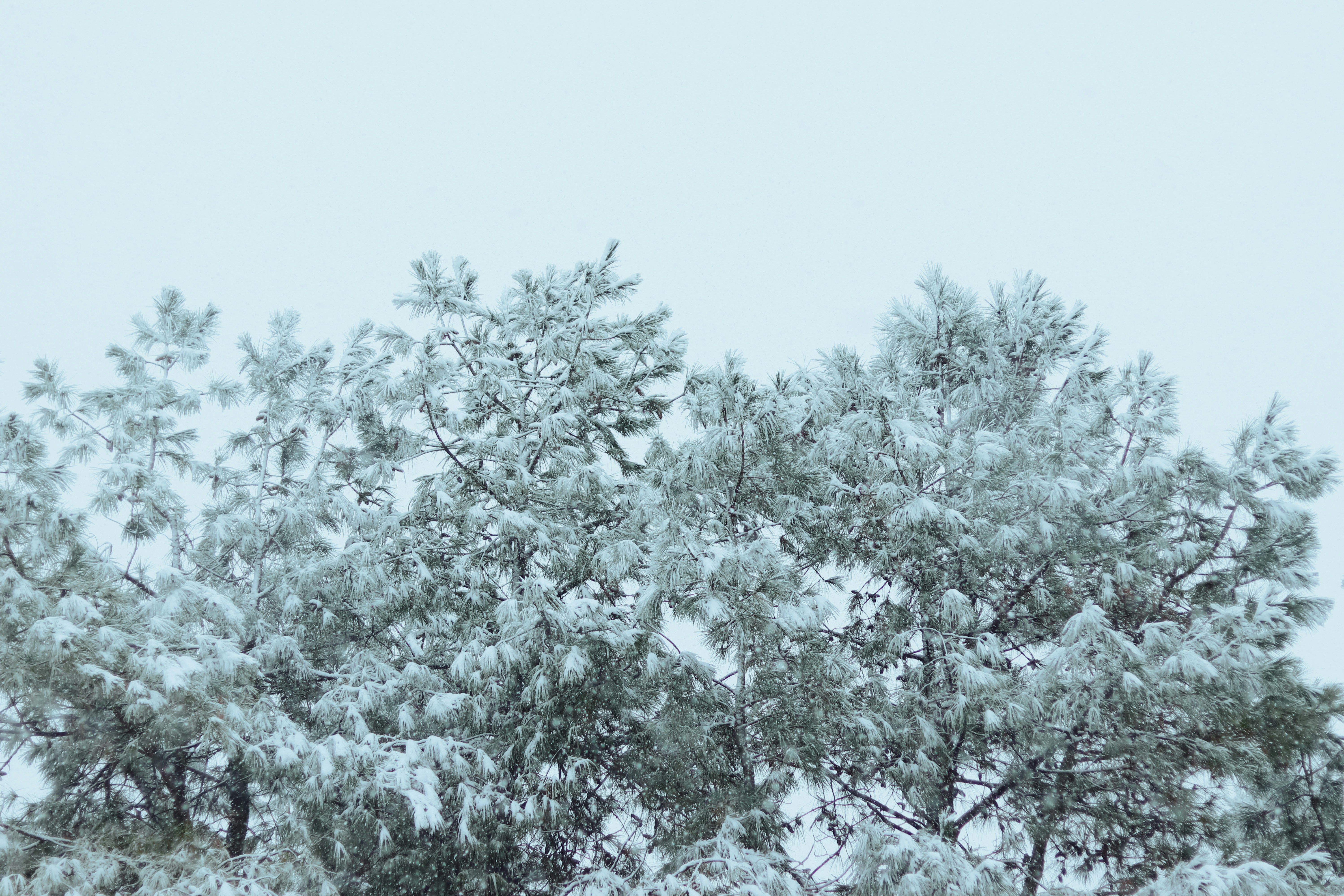 Photo by alireza_hashemi