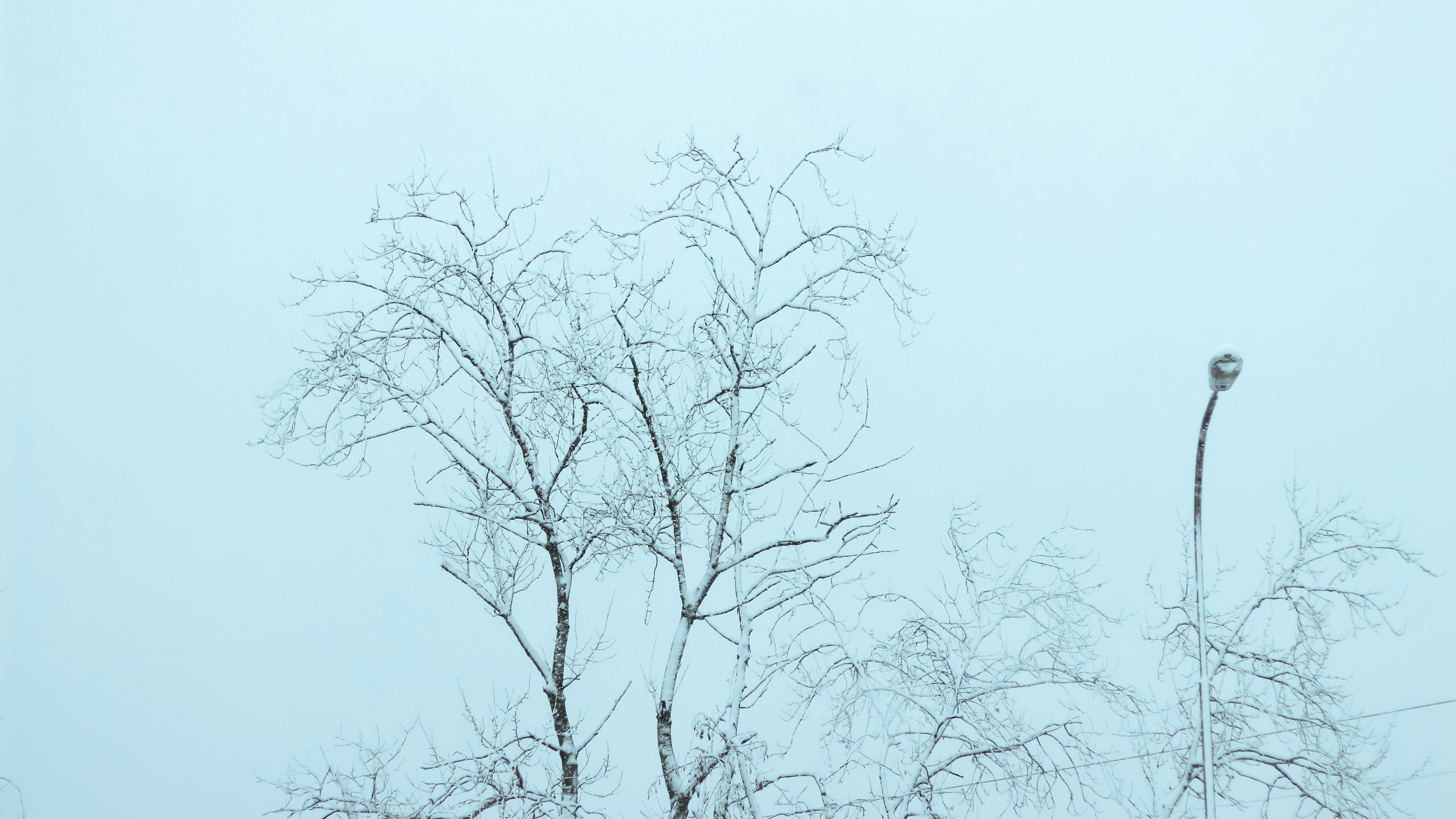 Photo by alireza_hashemi