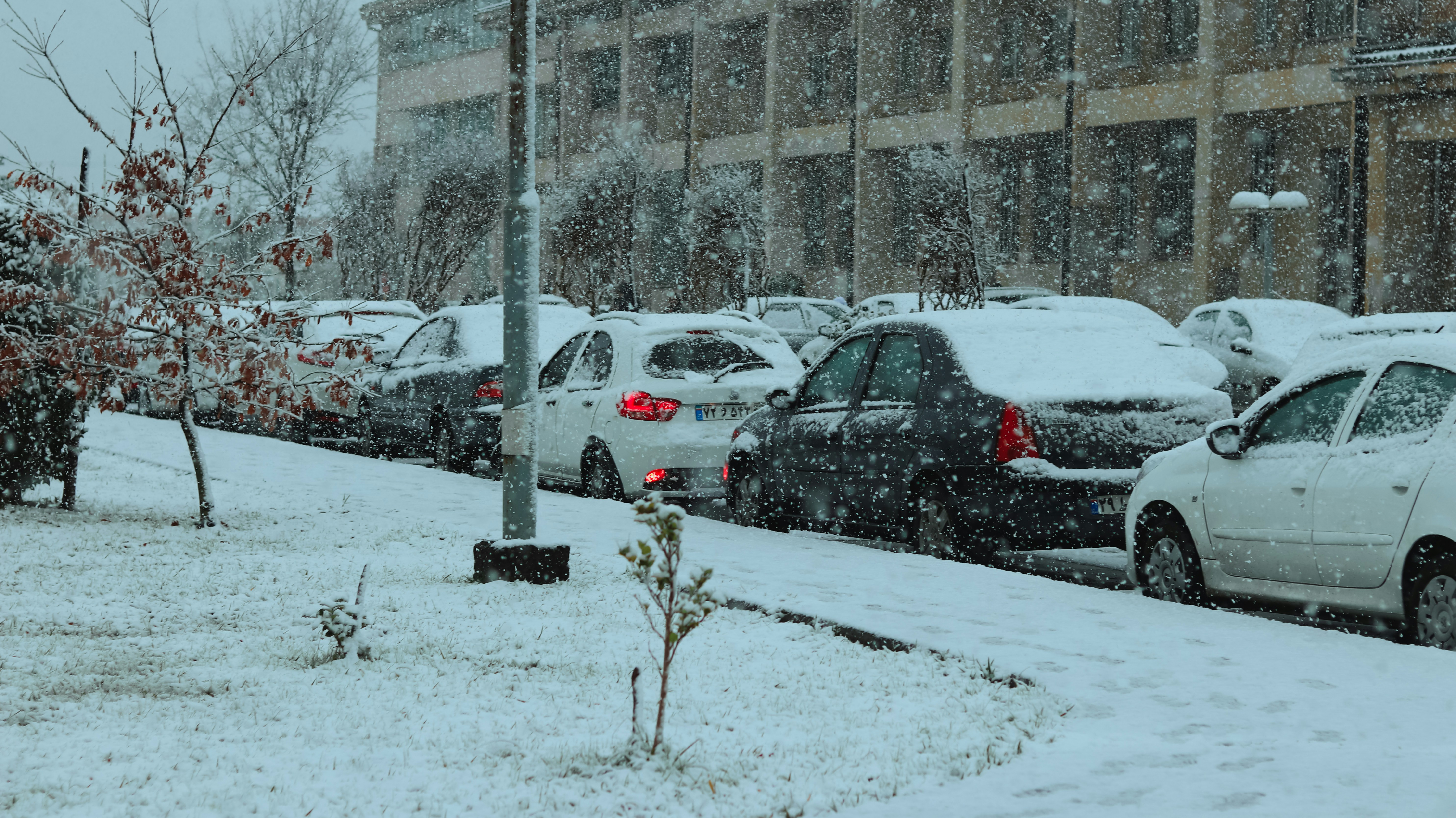 Photo by alireza_hashemi