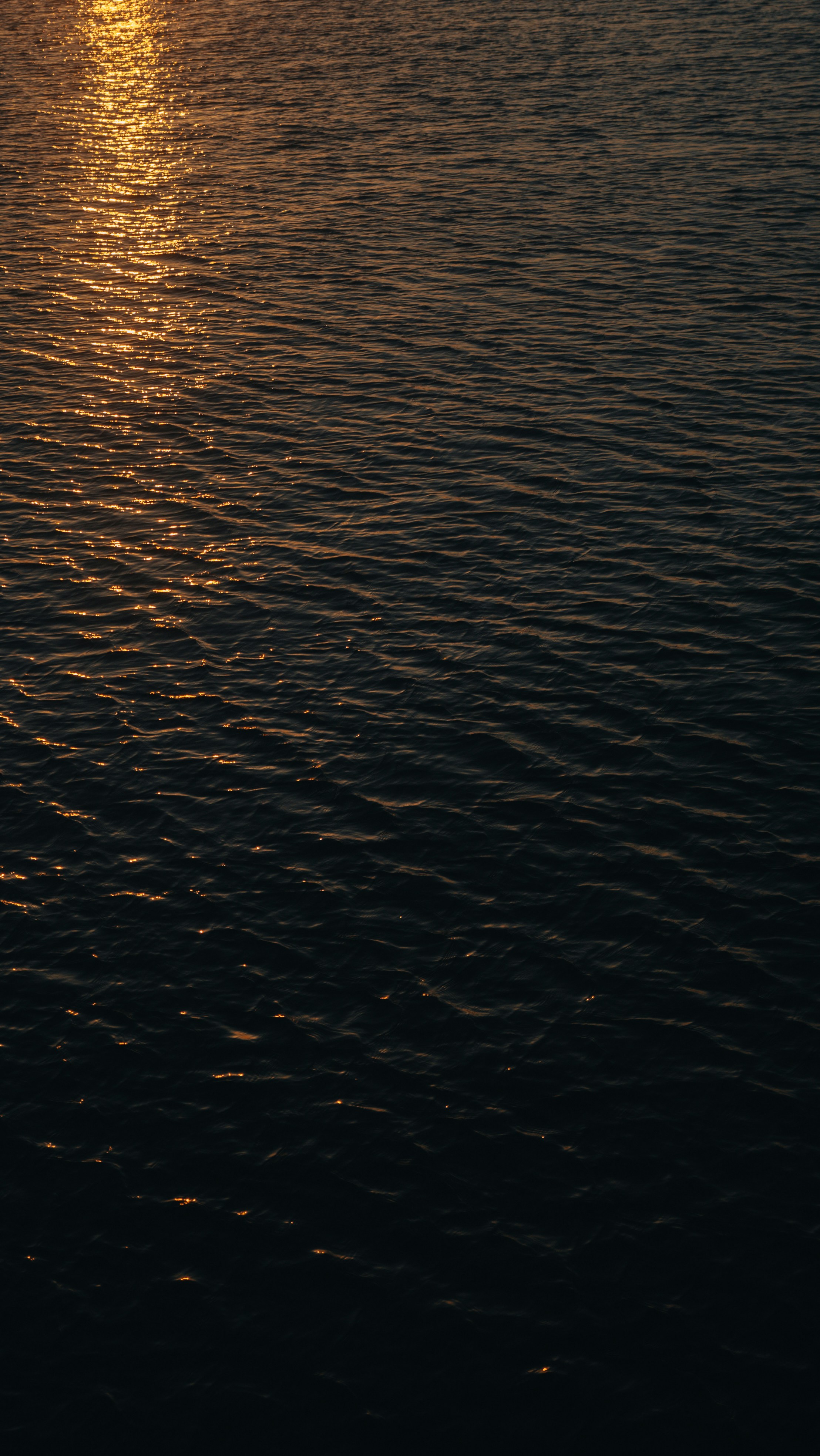 Photo by masanaotomomatsu