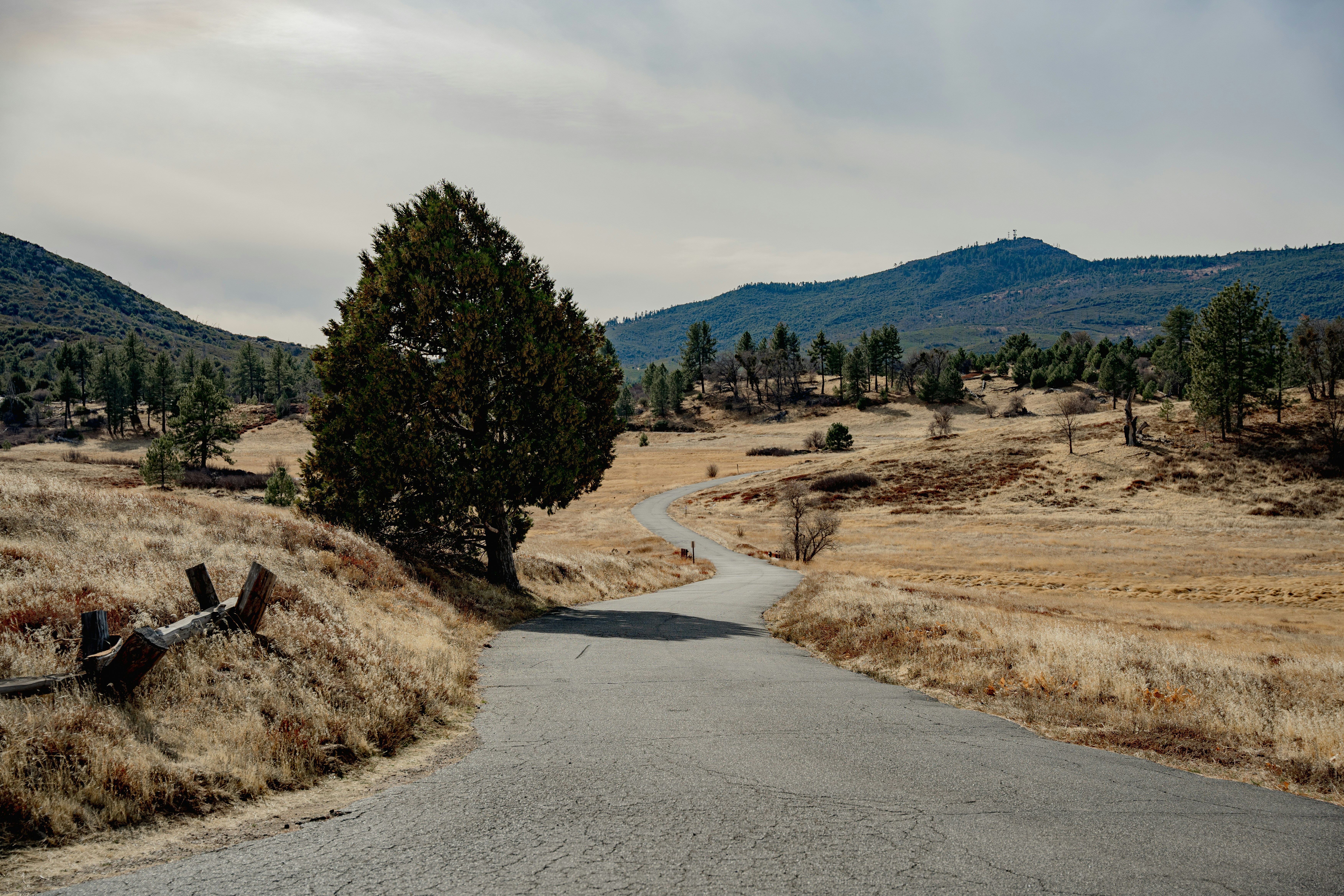 A road in the middle of a field with mountains in the background
