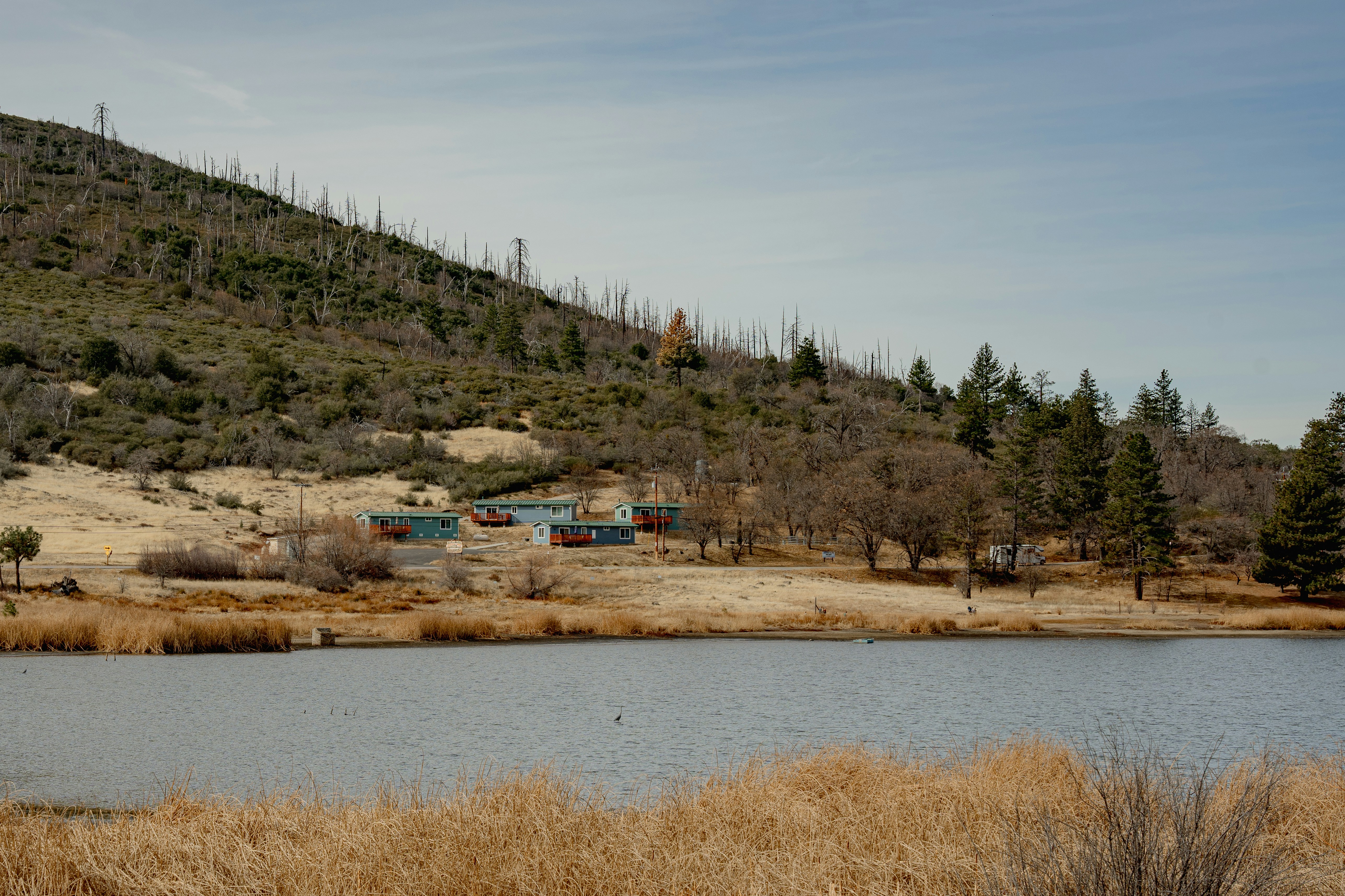 A large body of water sitting next to a lush green hillside
