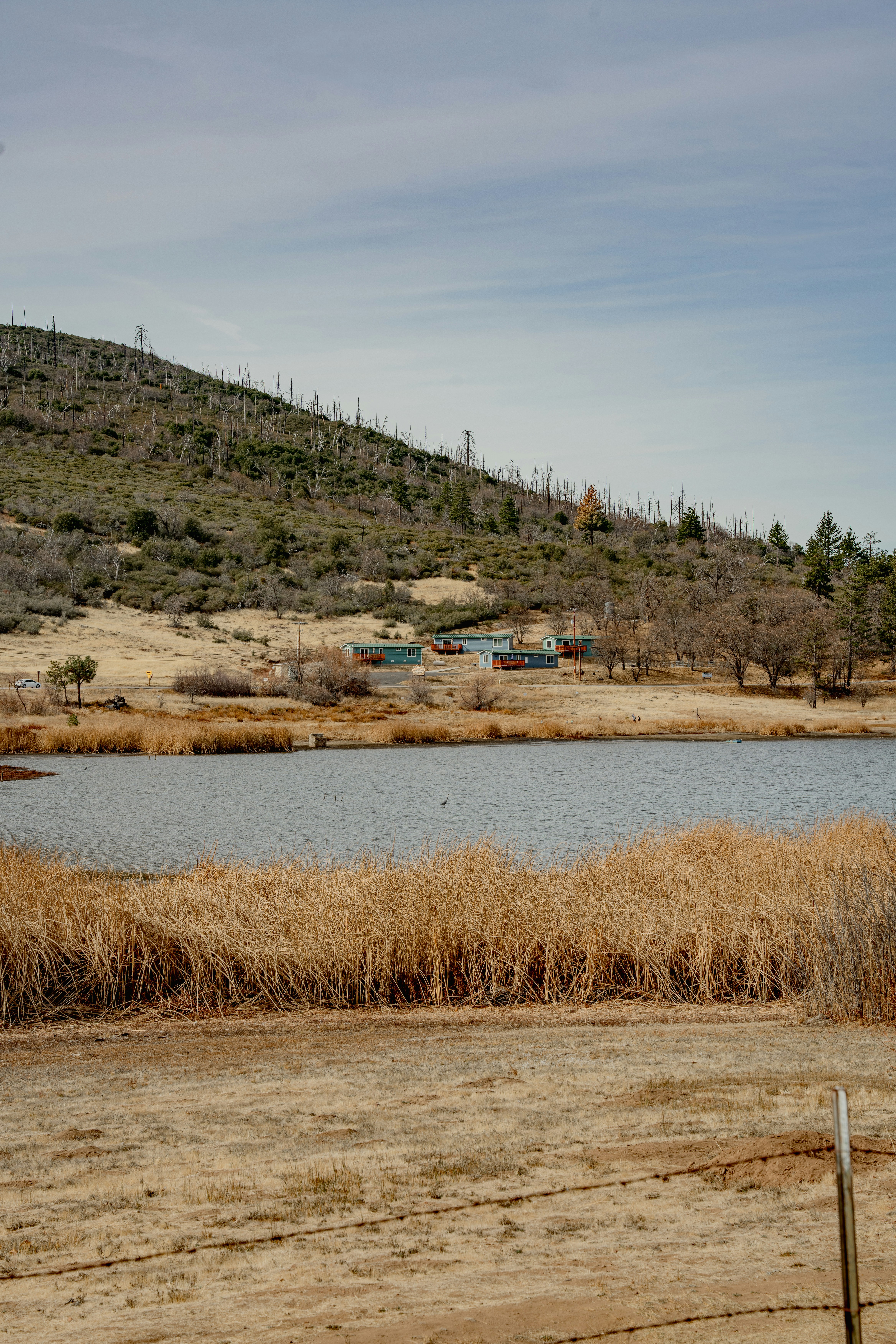 A large body of water surrounded by dry grass