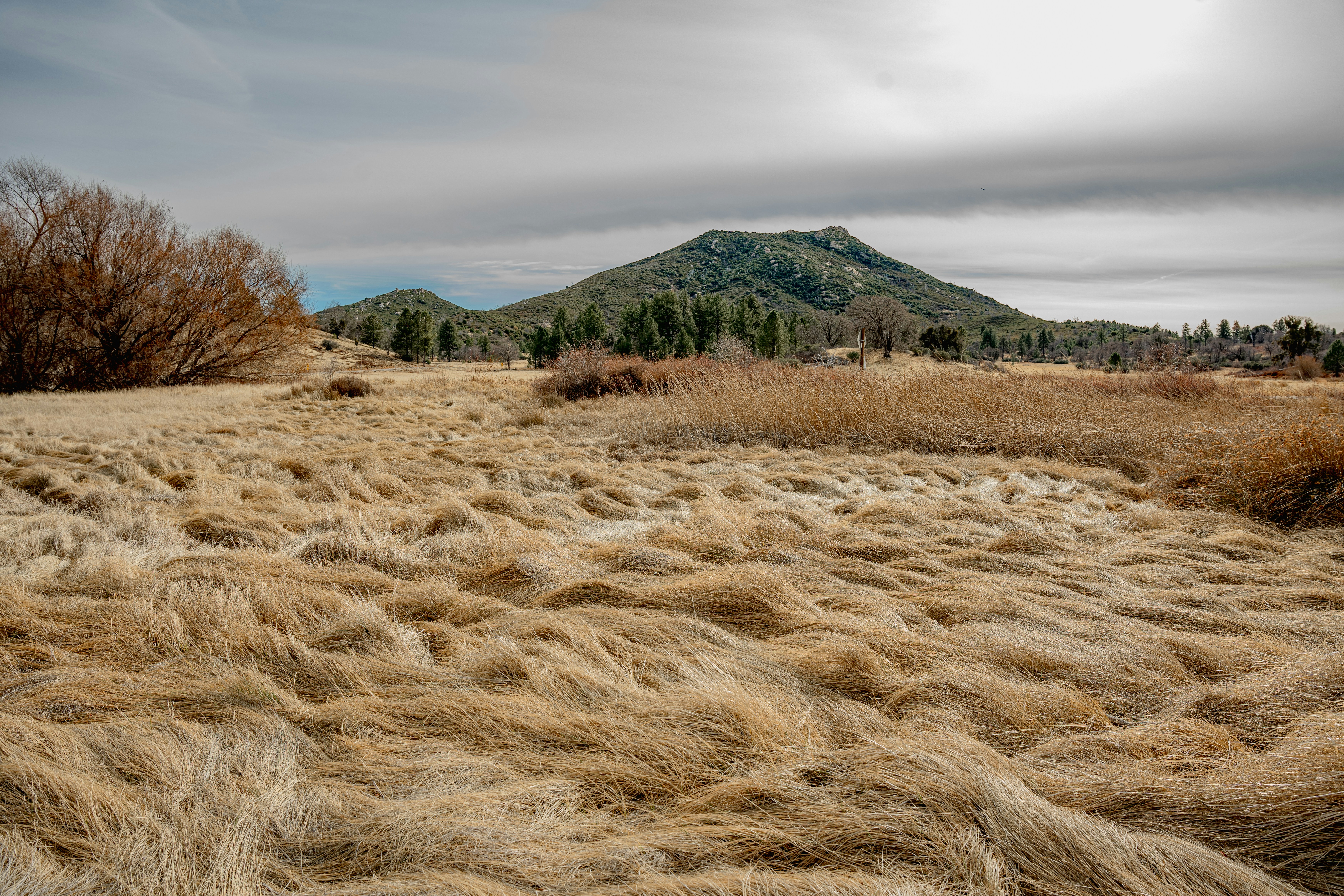 A grassy field with a mountain in the background