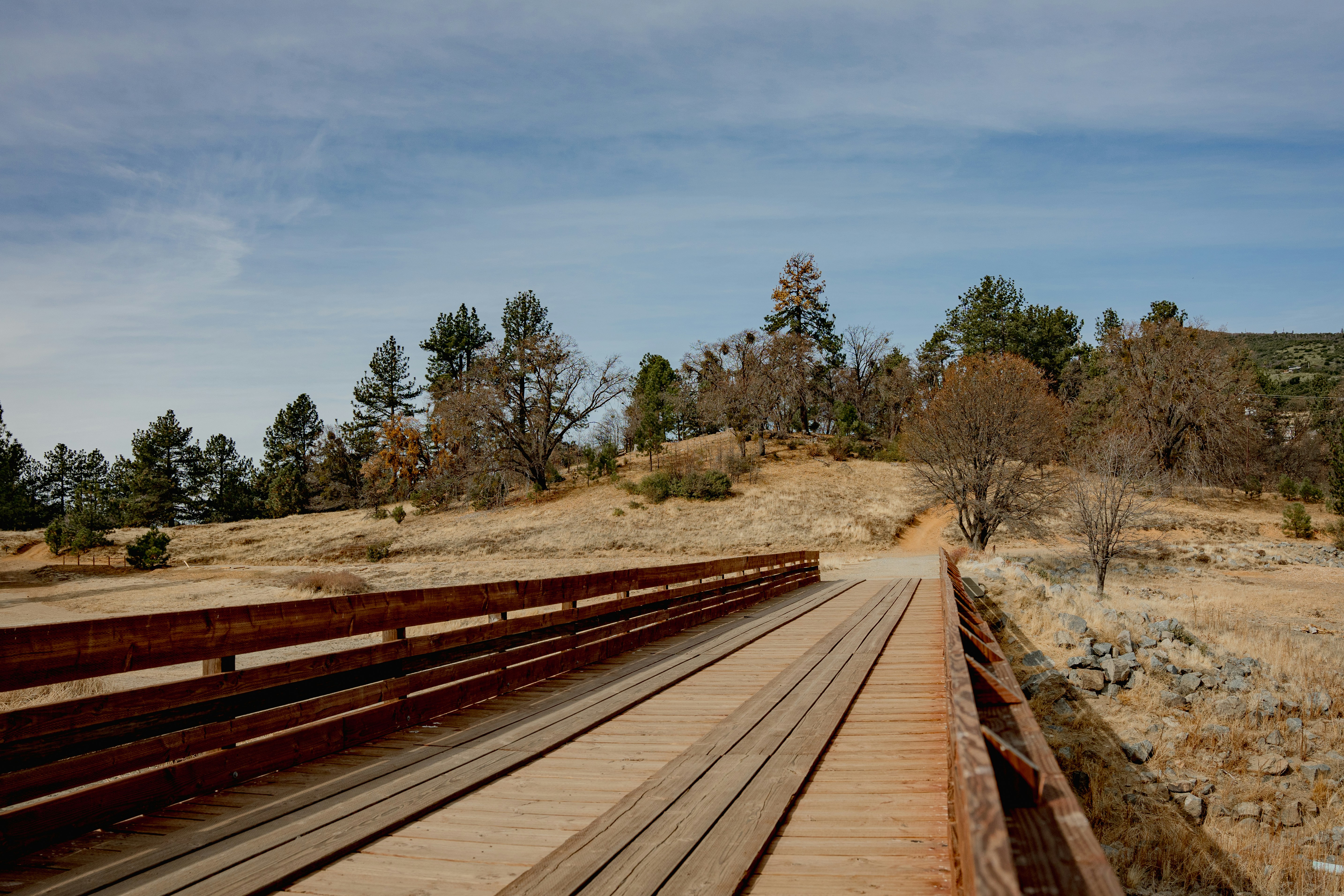 A long wooden bridge over a dry grass covered field