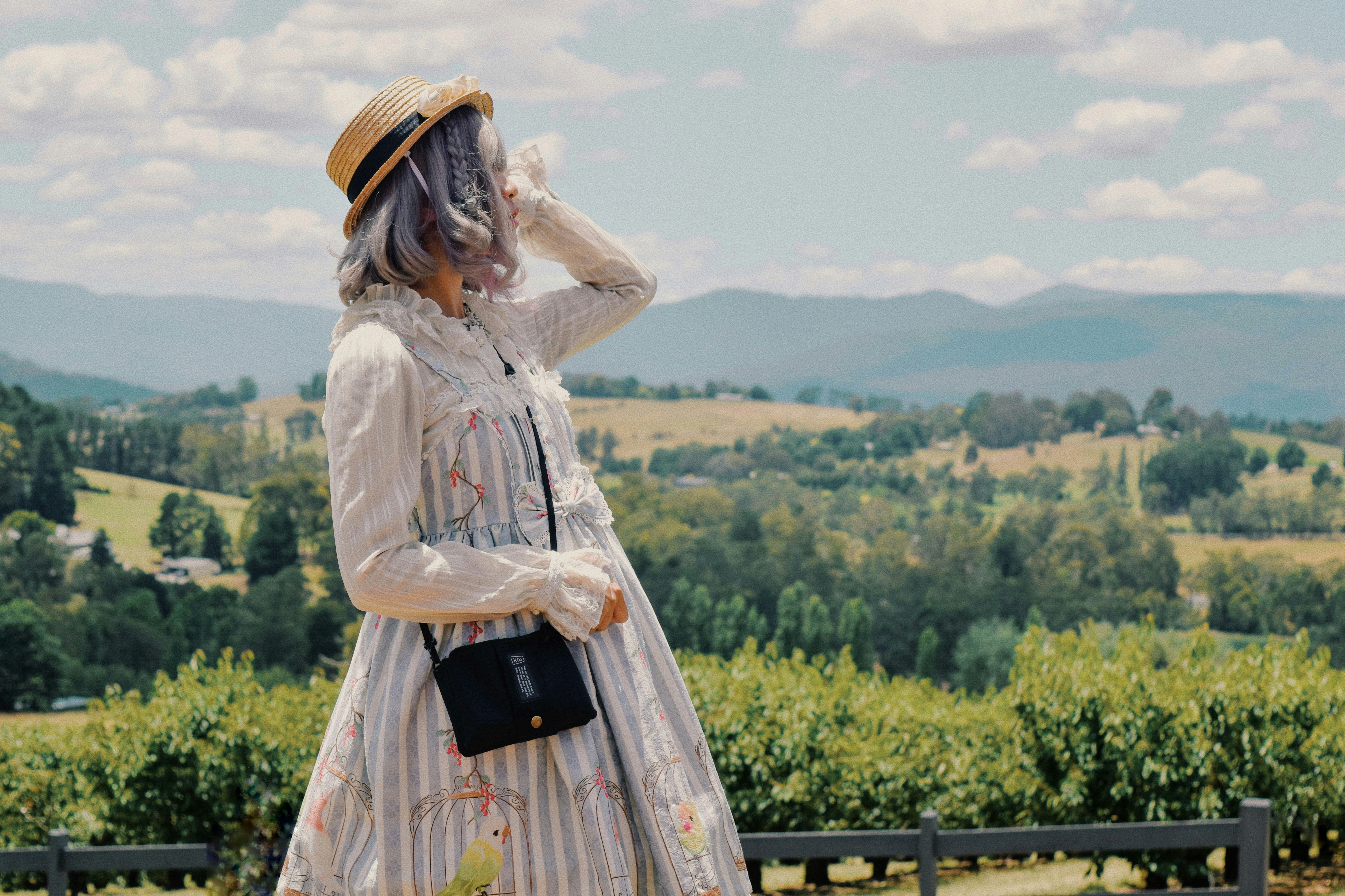 A woman in a dress and hat standing on a hill