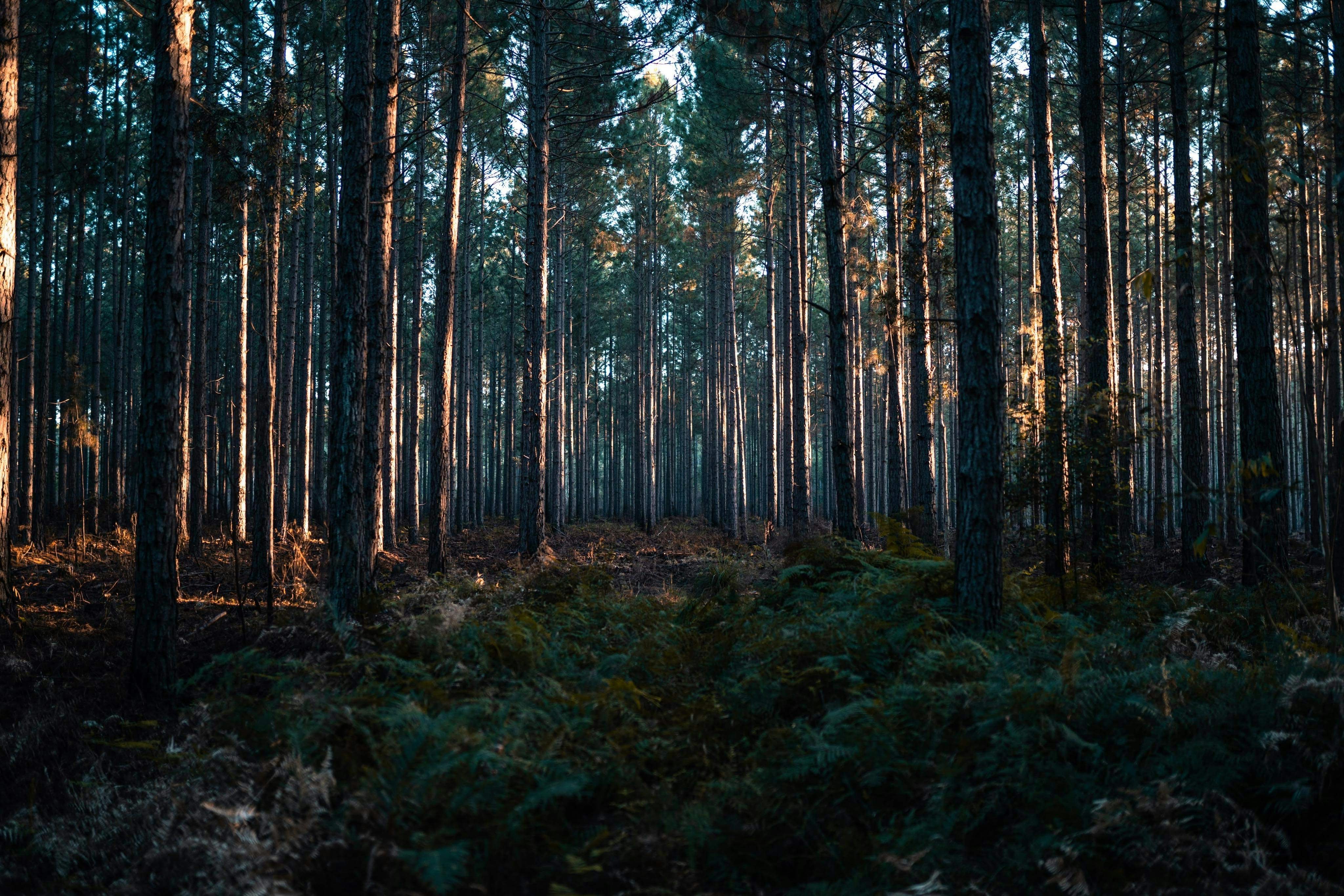 The Gist: "My Daughter's Path"