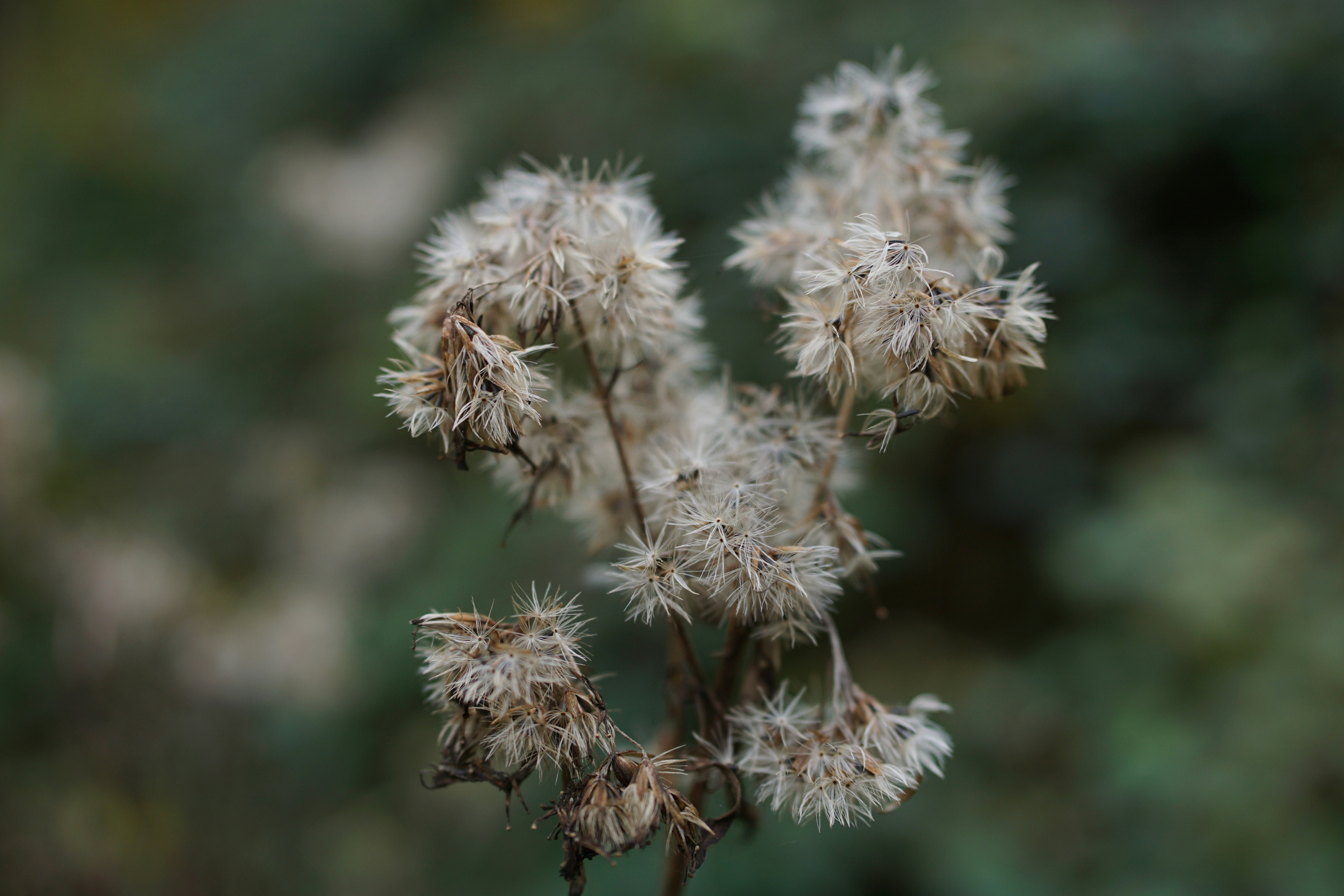 Photo by rikekoestlin