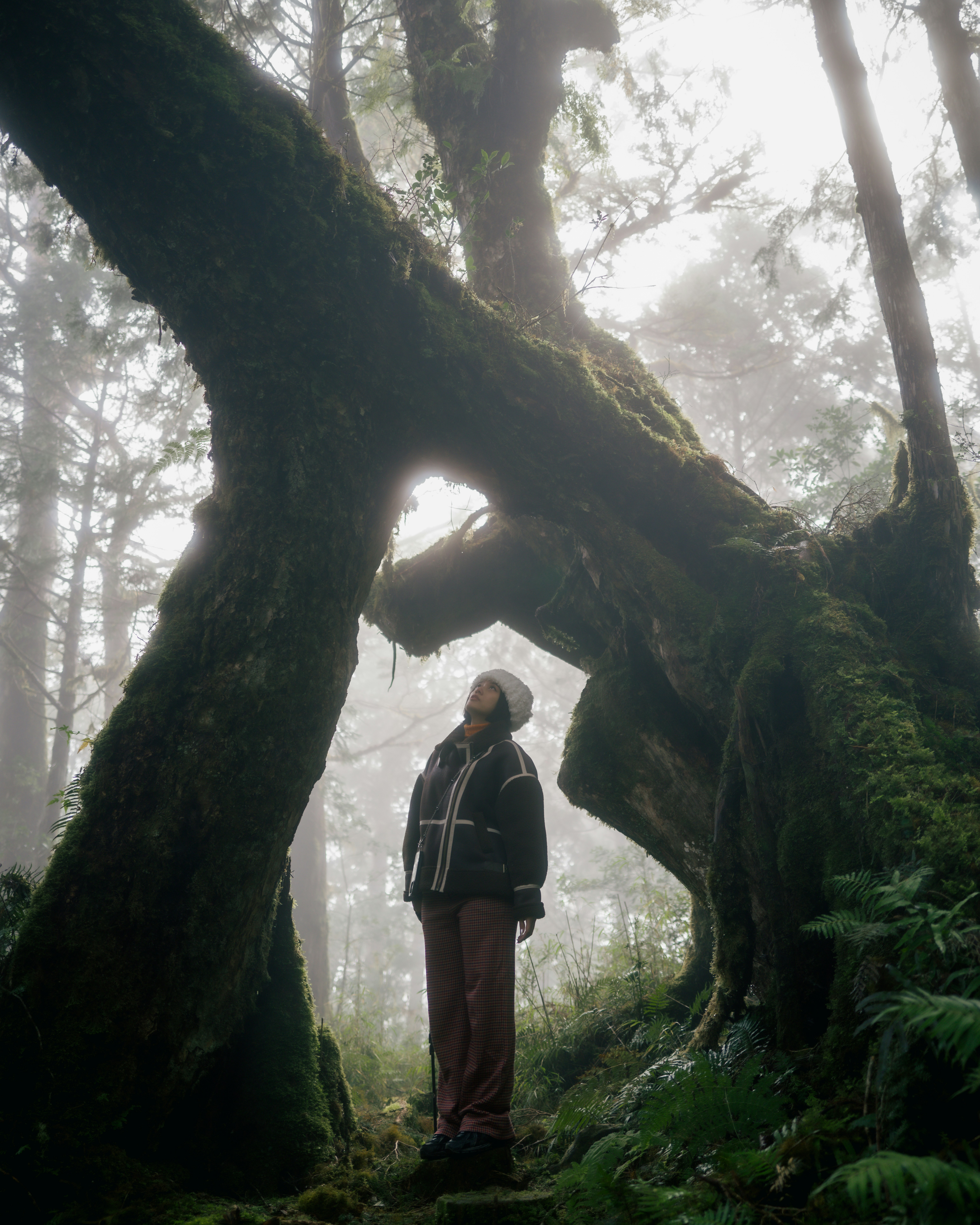 Eine Person, die mitten in einem Wald steht