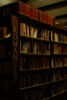 A bookshelf filled with lots of books in a library