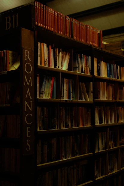 A bookshelf filled with lots of books in a library