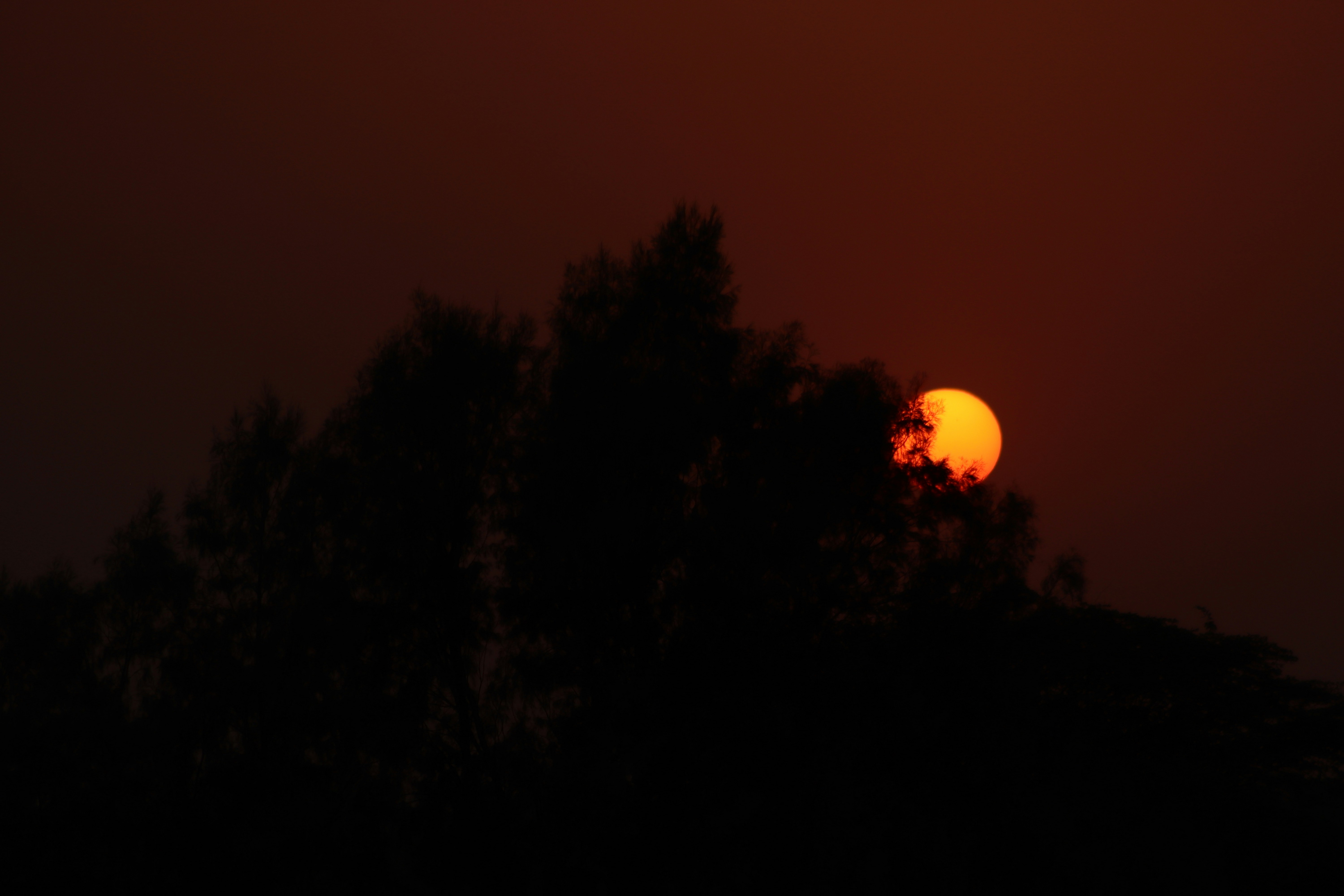 Photo by drphotographer152