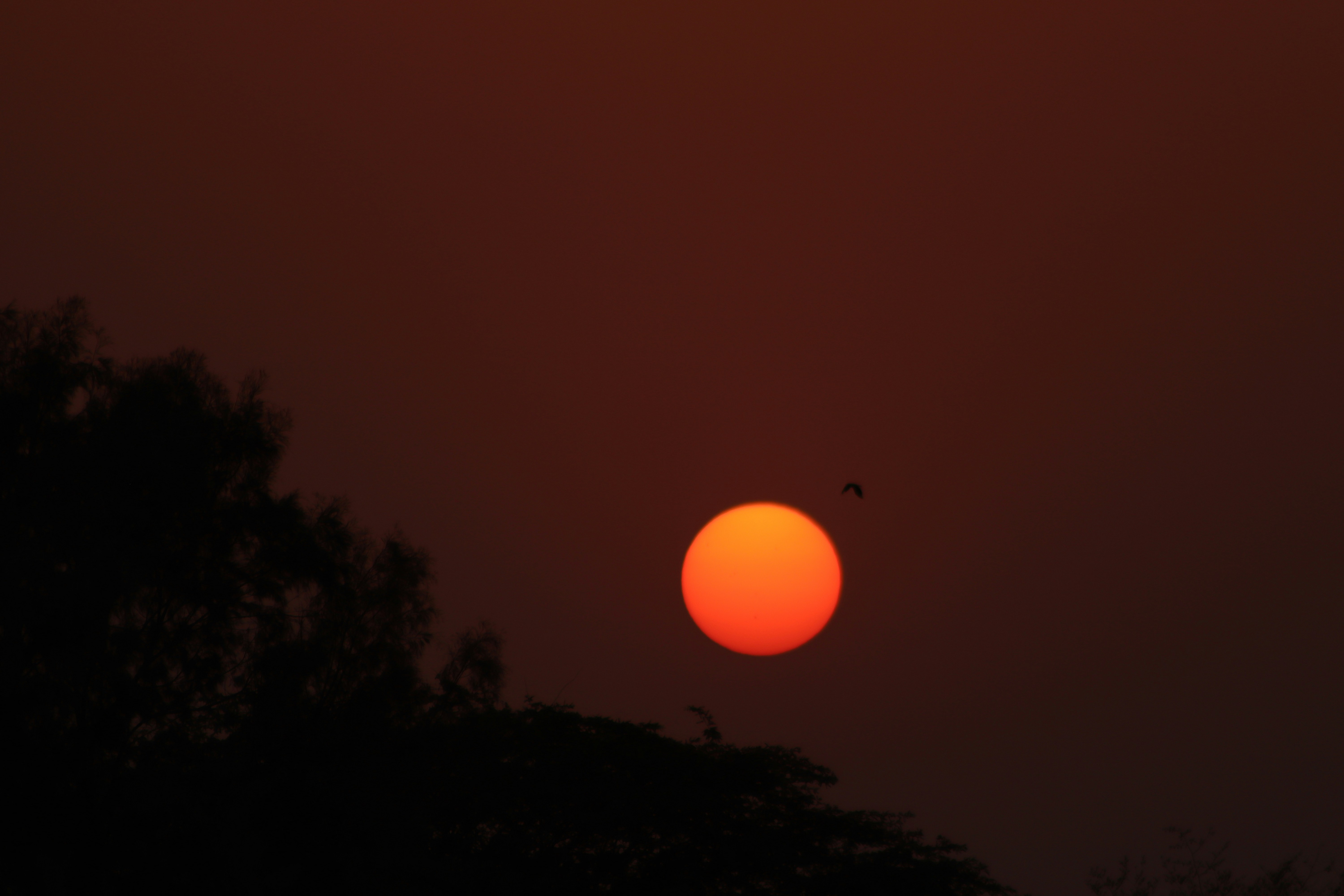 Photo by drphotographer152