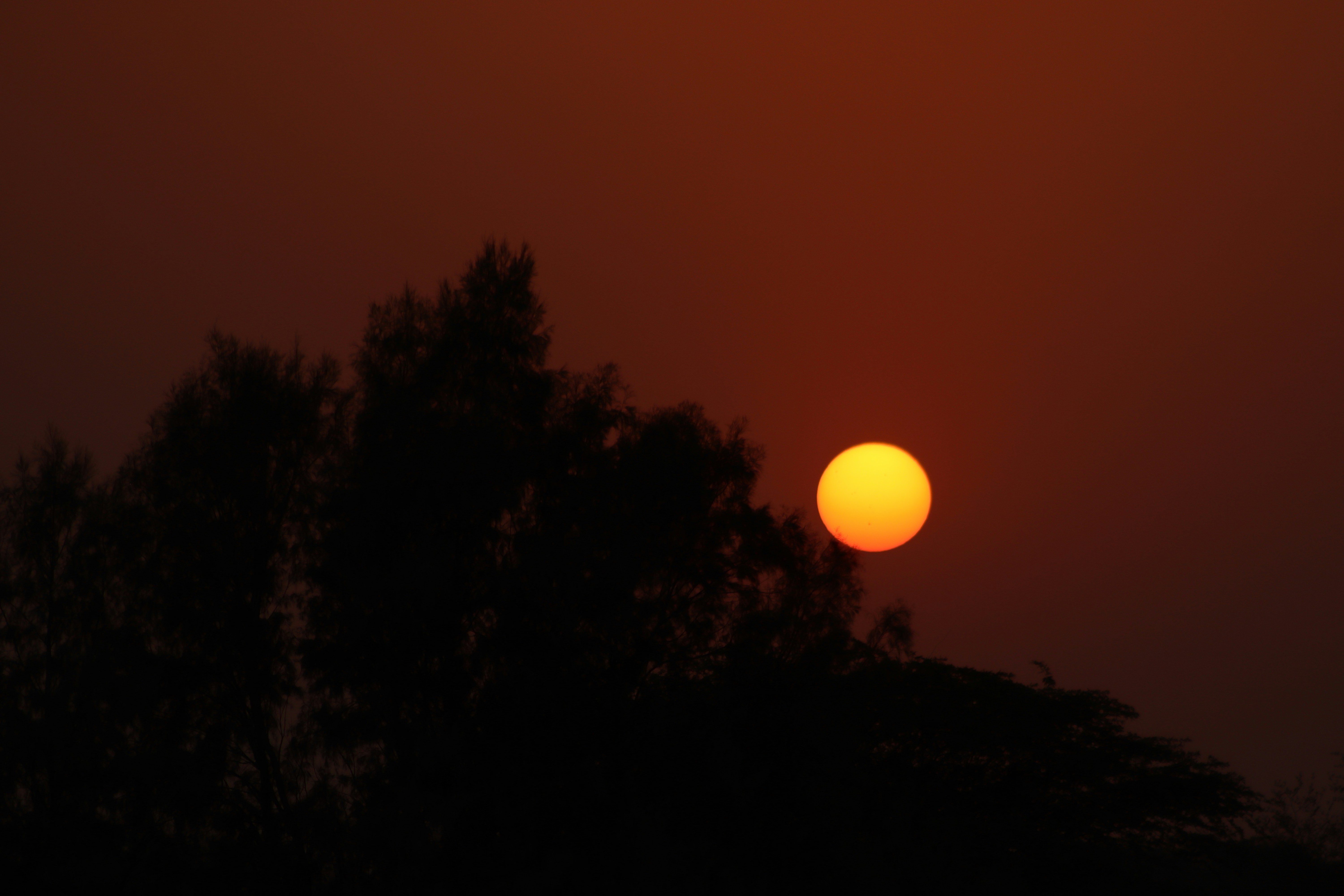 Photo by drphotographer152