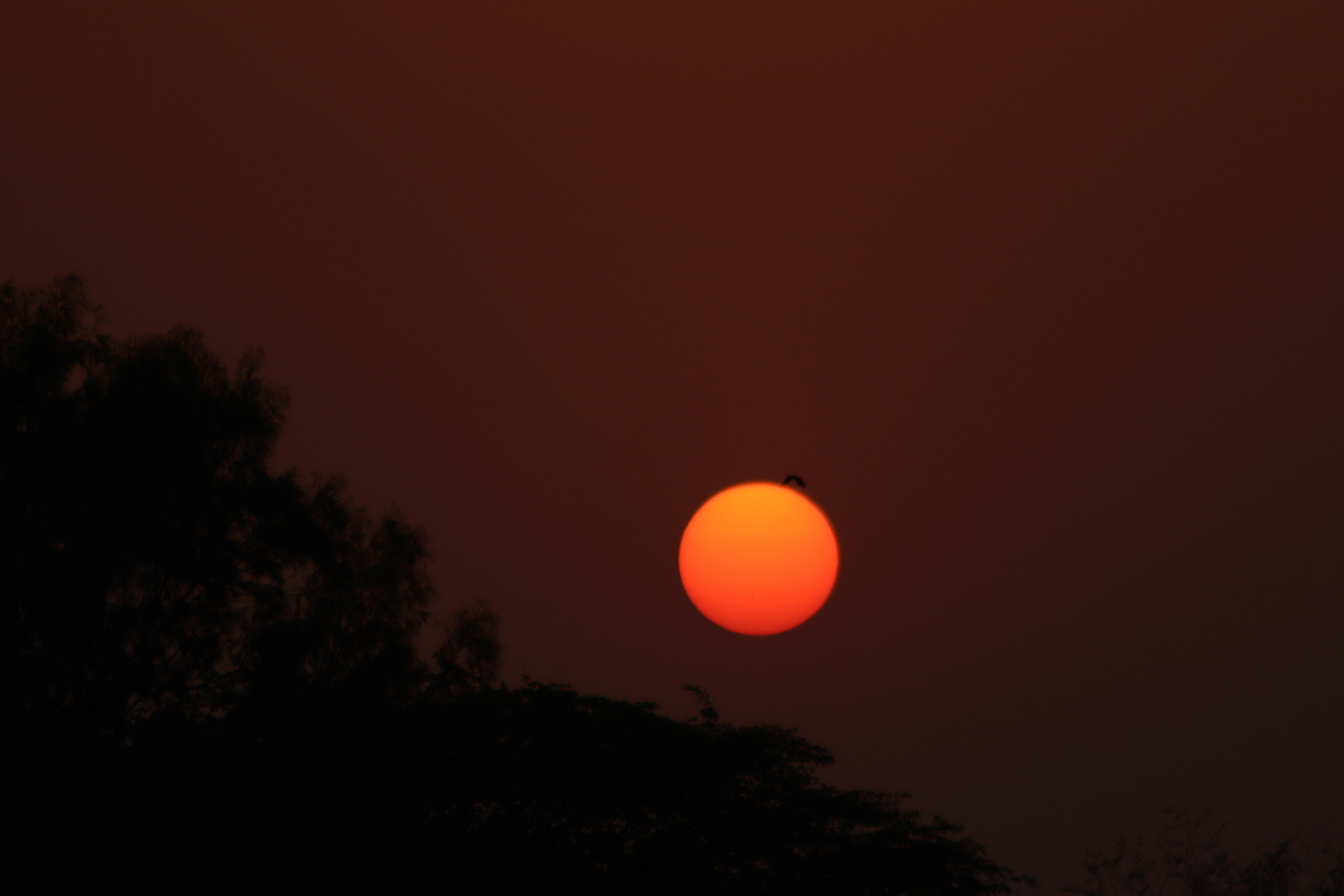 Photo by drphotographer152