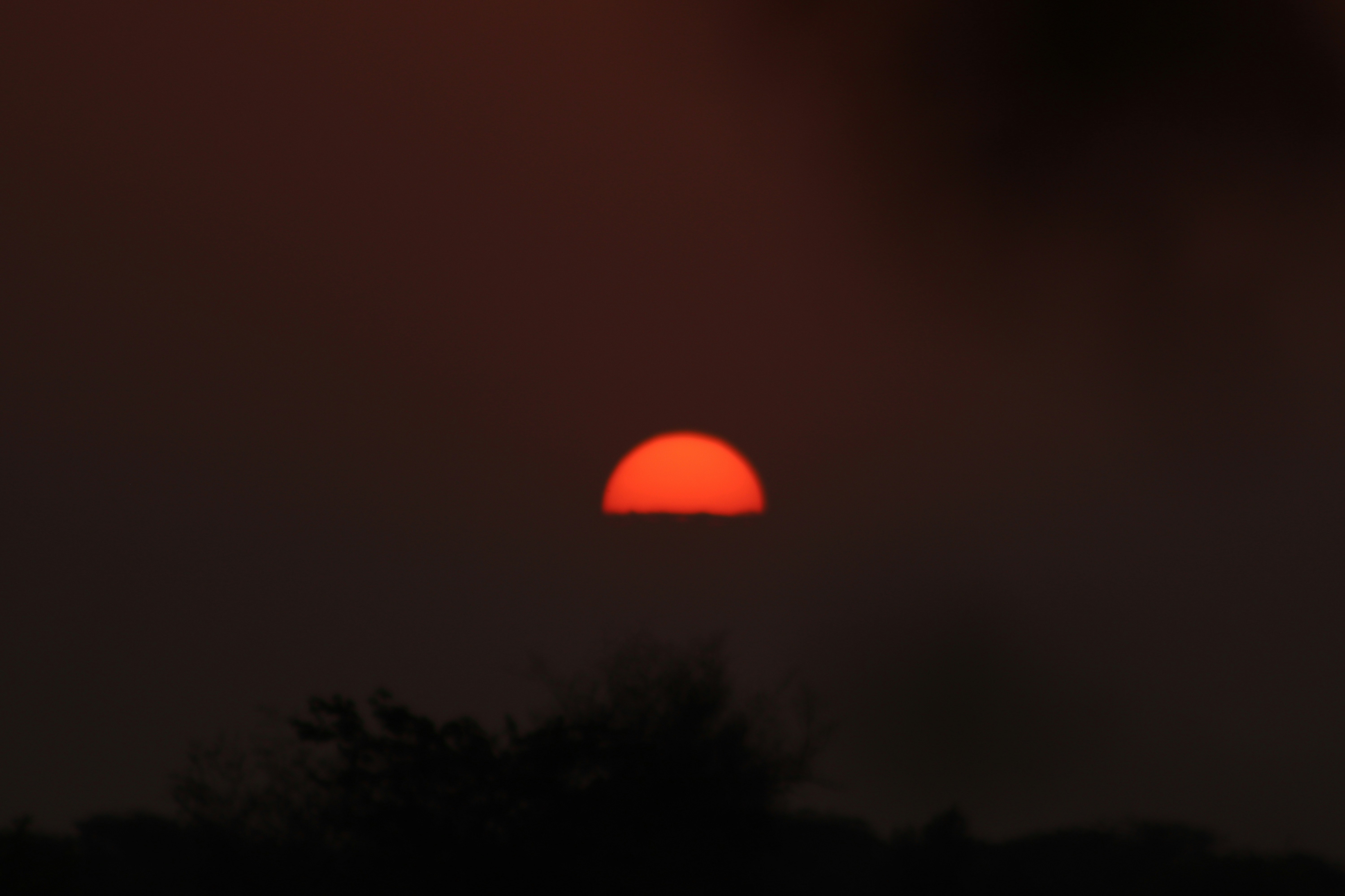 Photo by drphotographer152