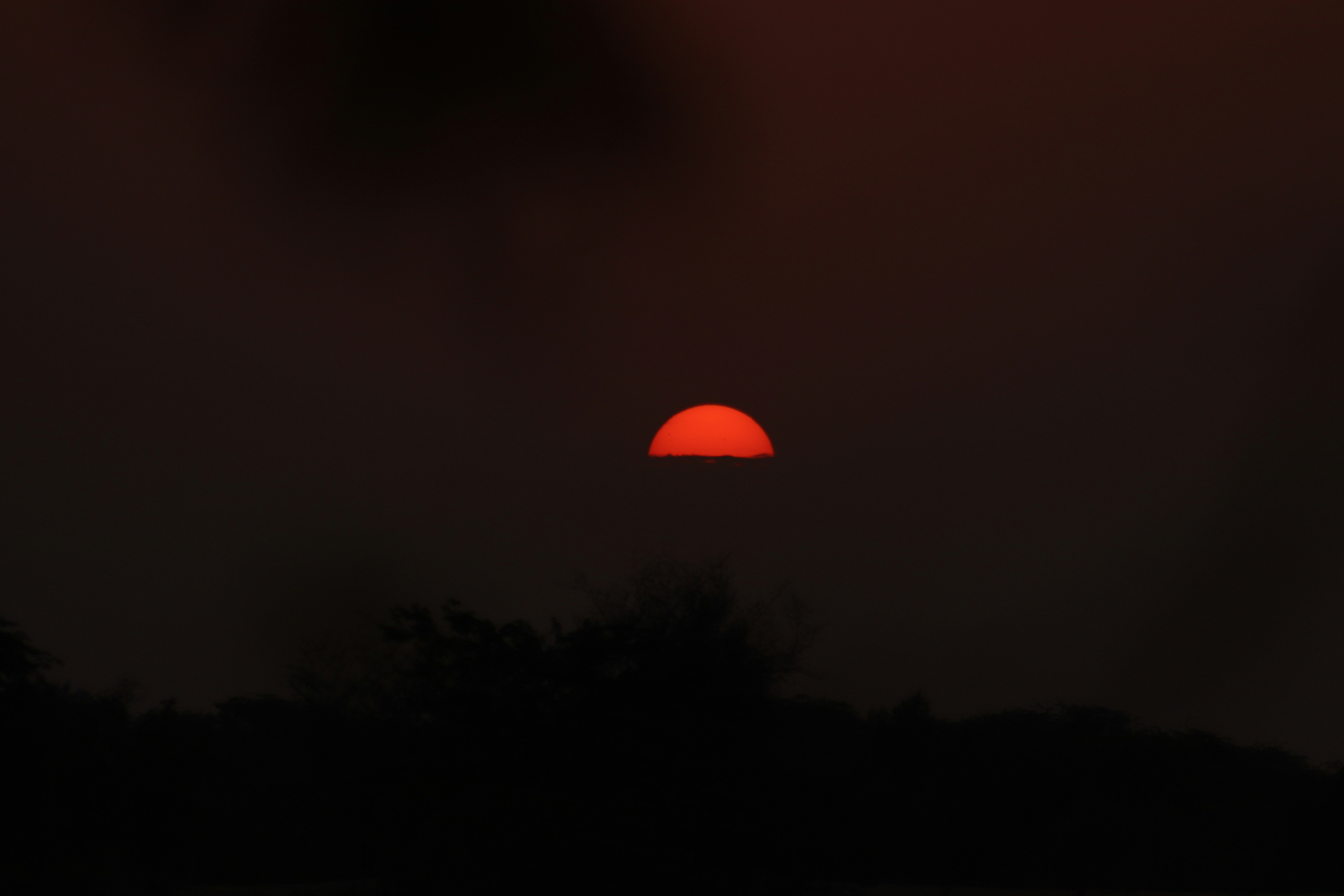 Photo by drphotographer152