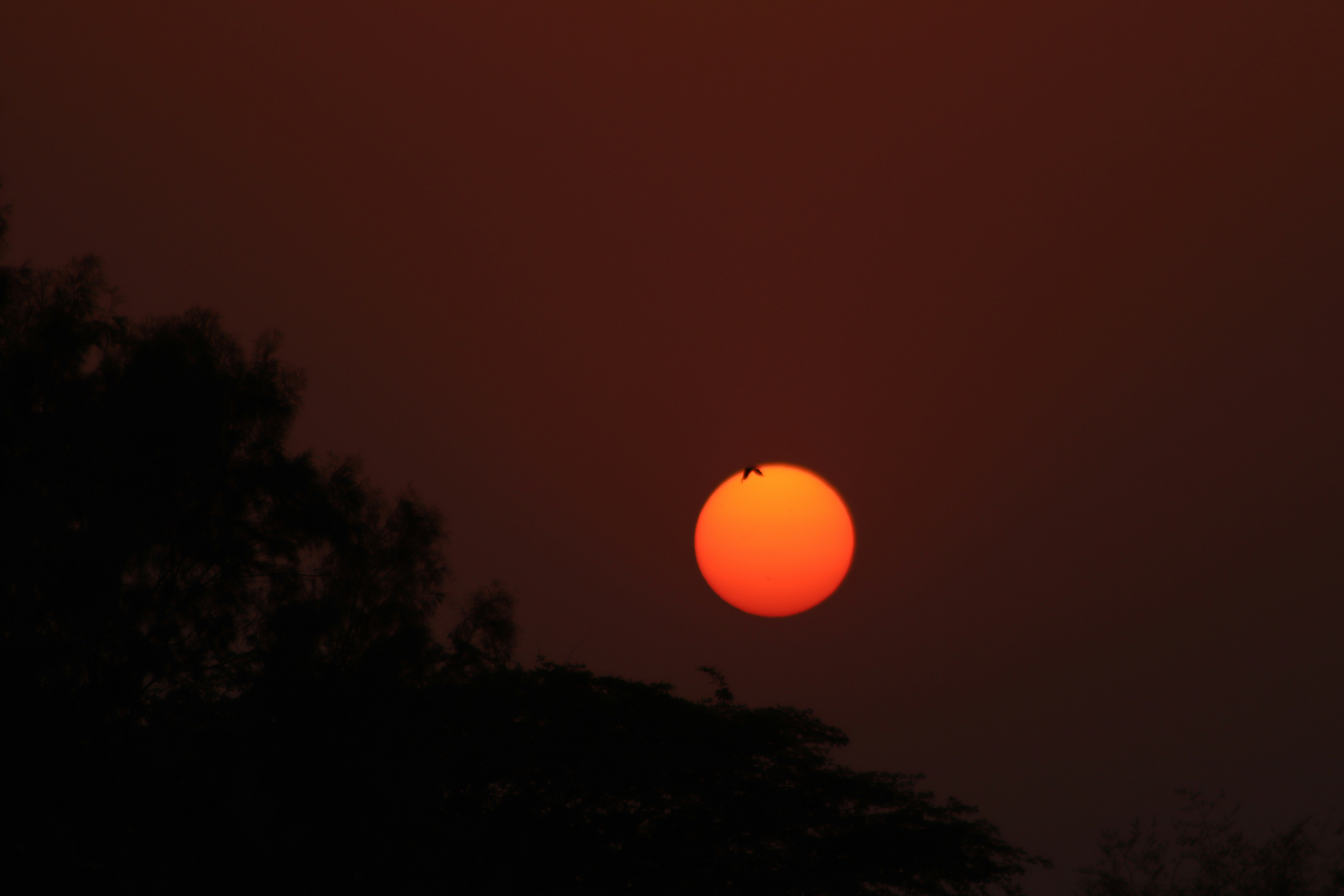 Photo by drphotographer152