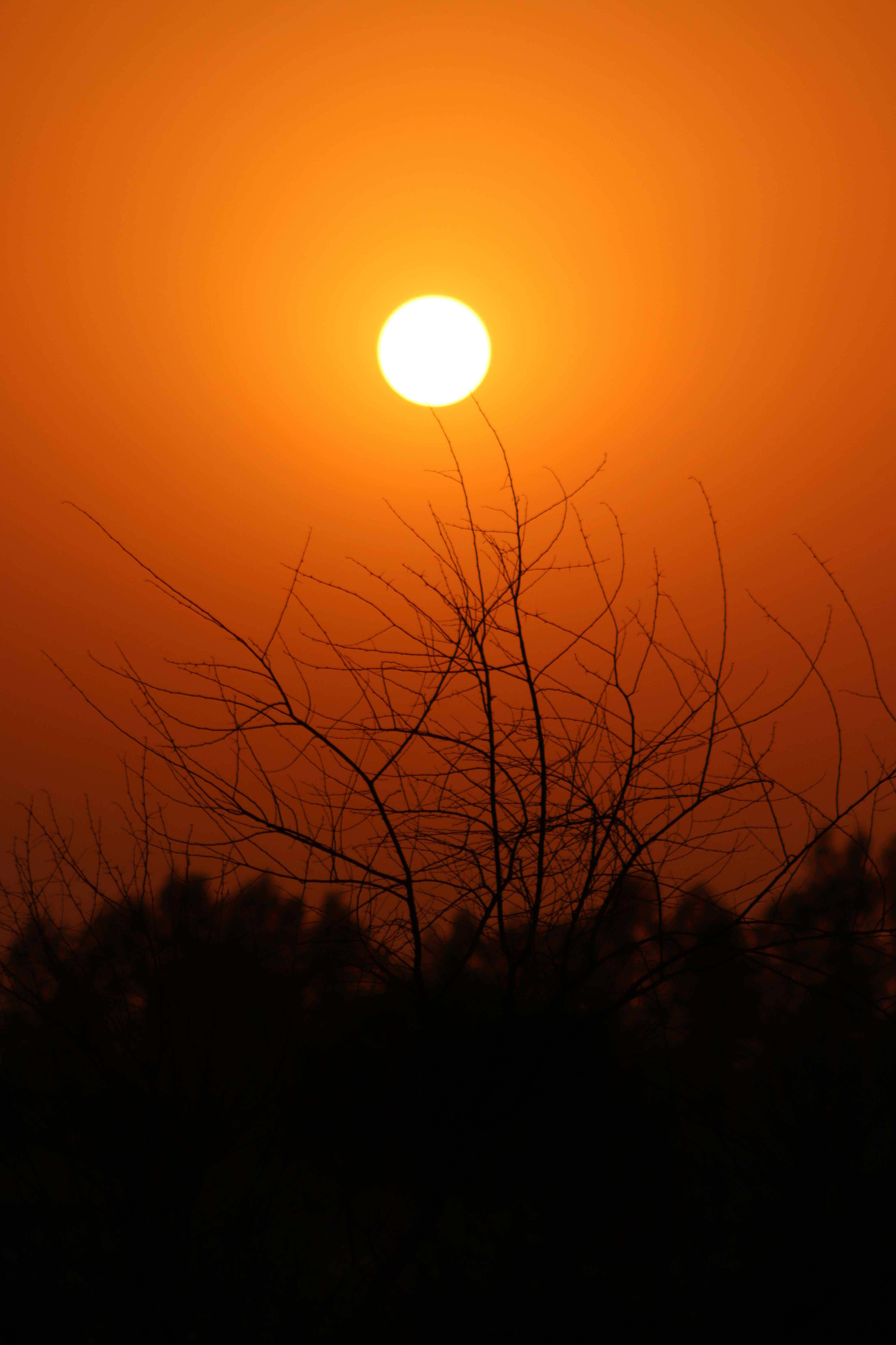 Photo by drphotographer152