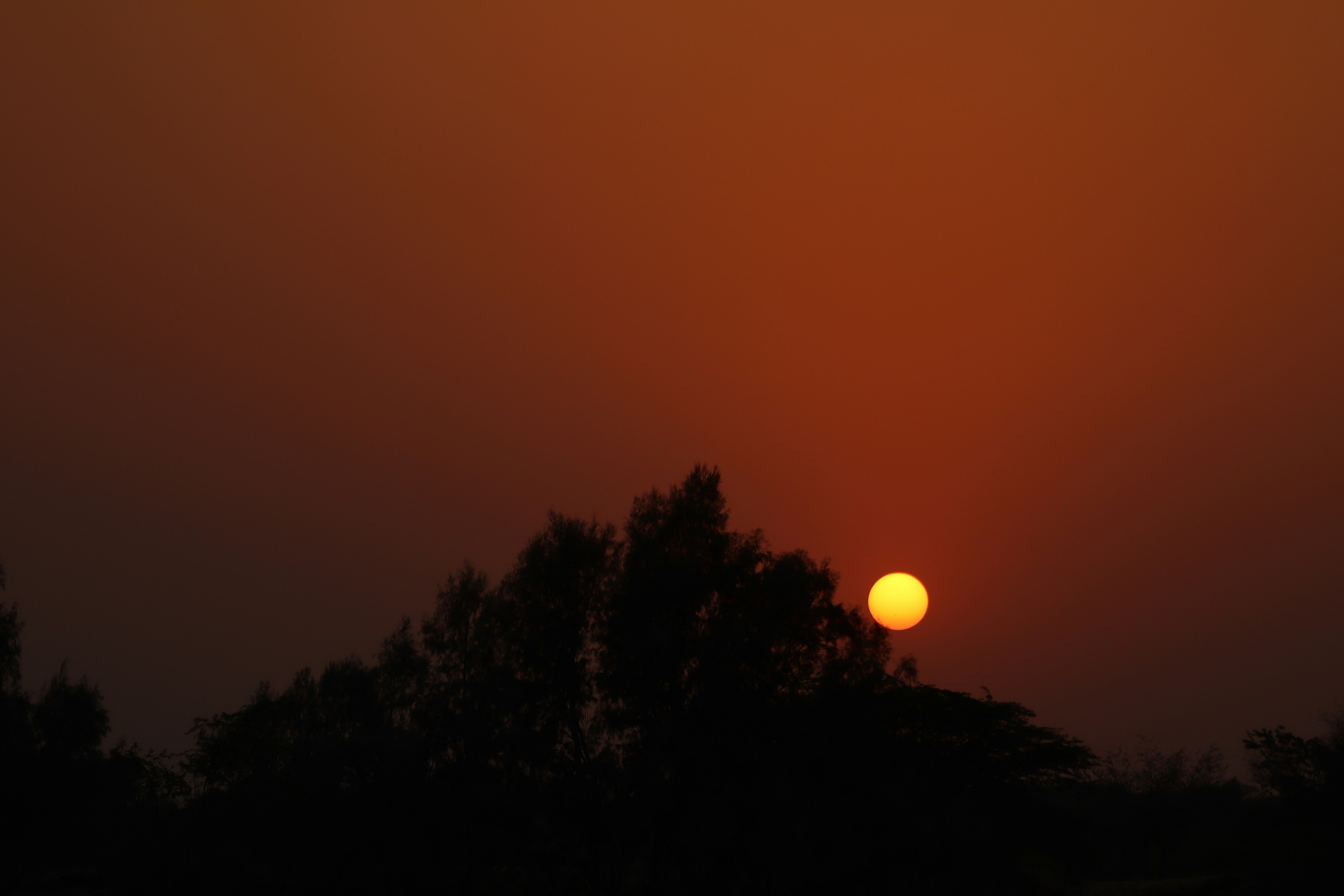 Photo by drphotographer152