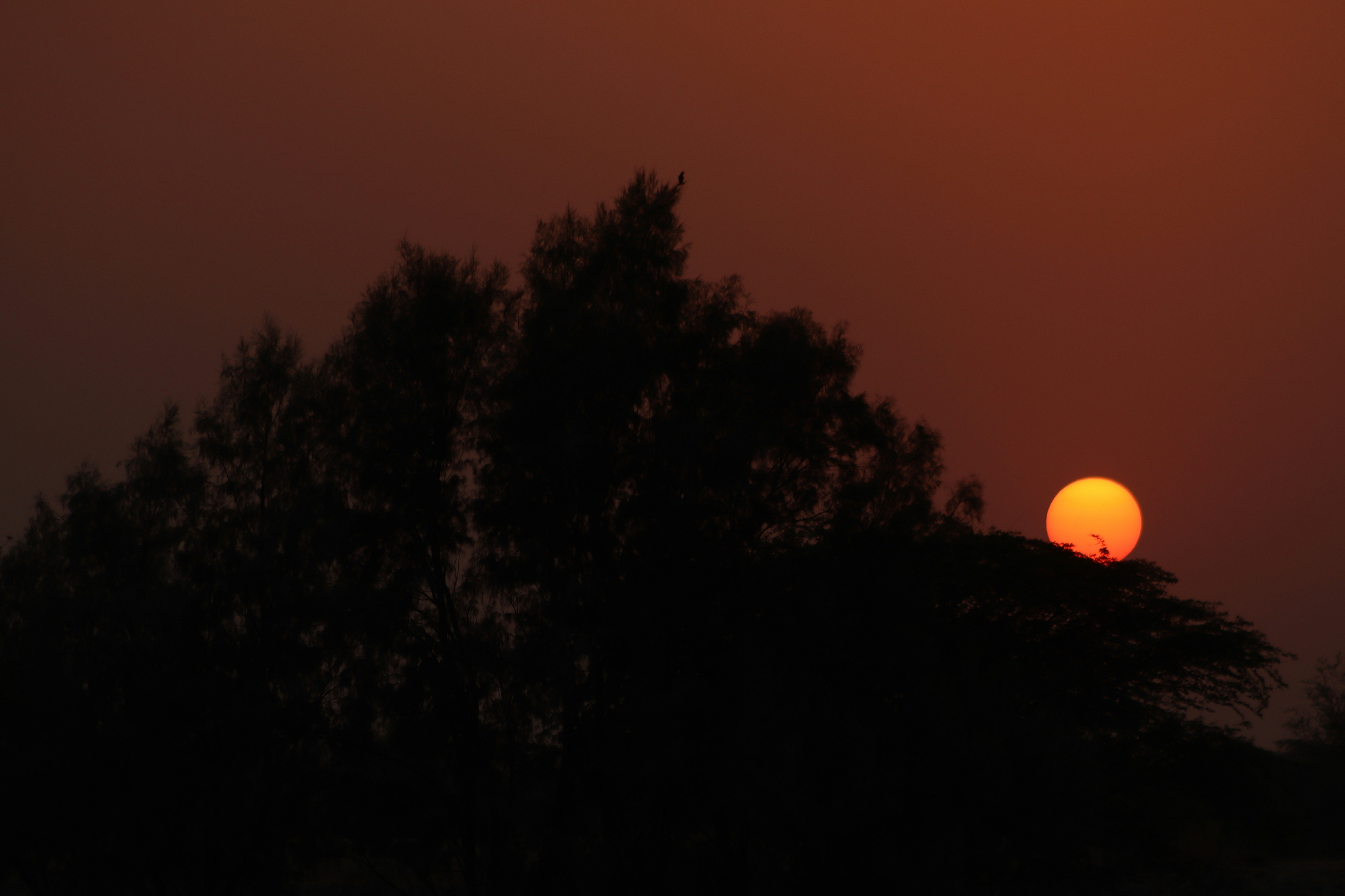 Photo by drphotographer152