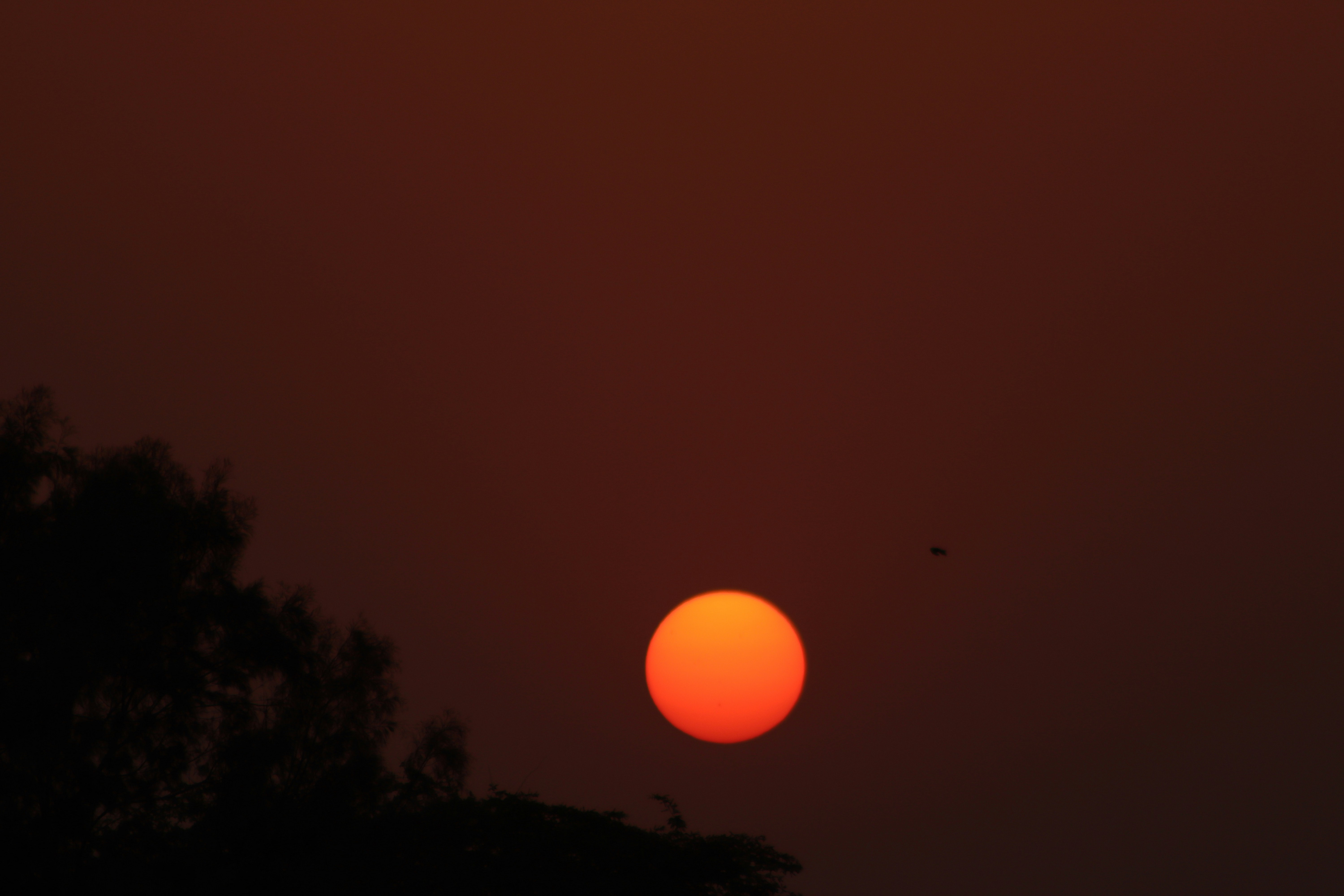 Photo by drphotographer152