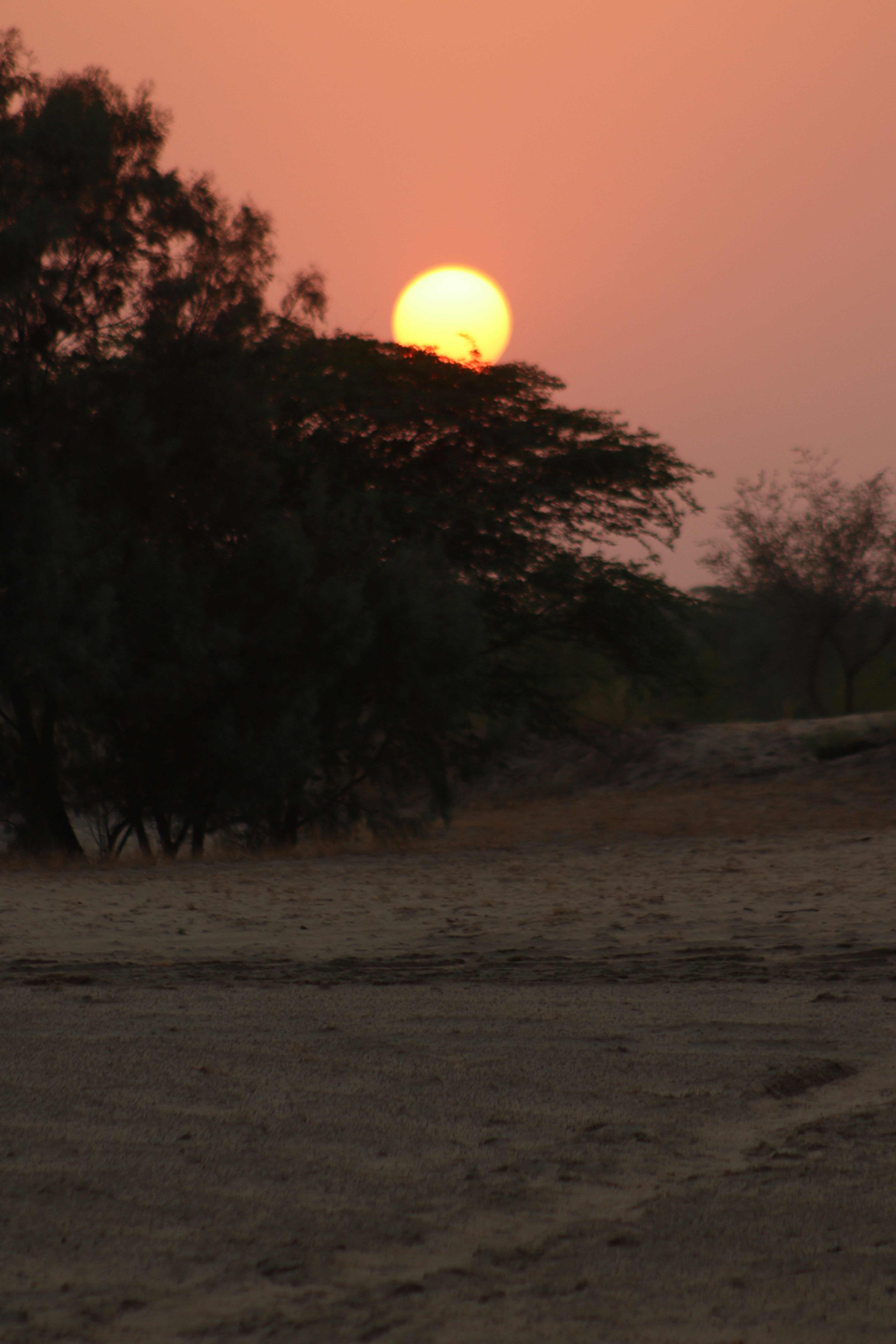 Photo by drphotographer152