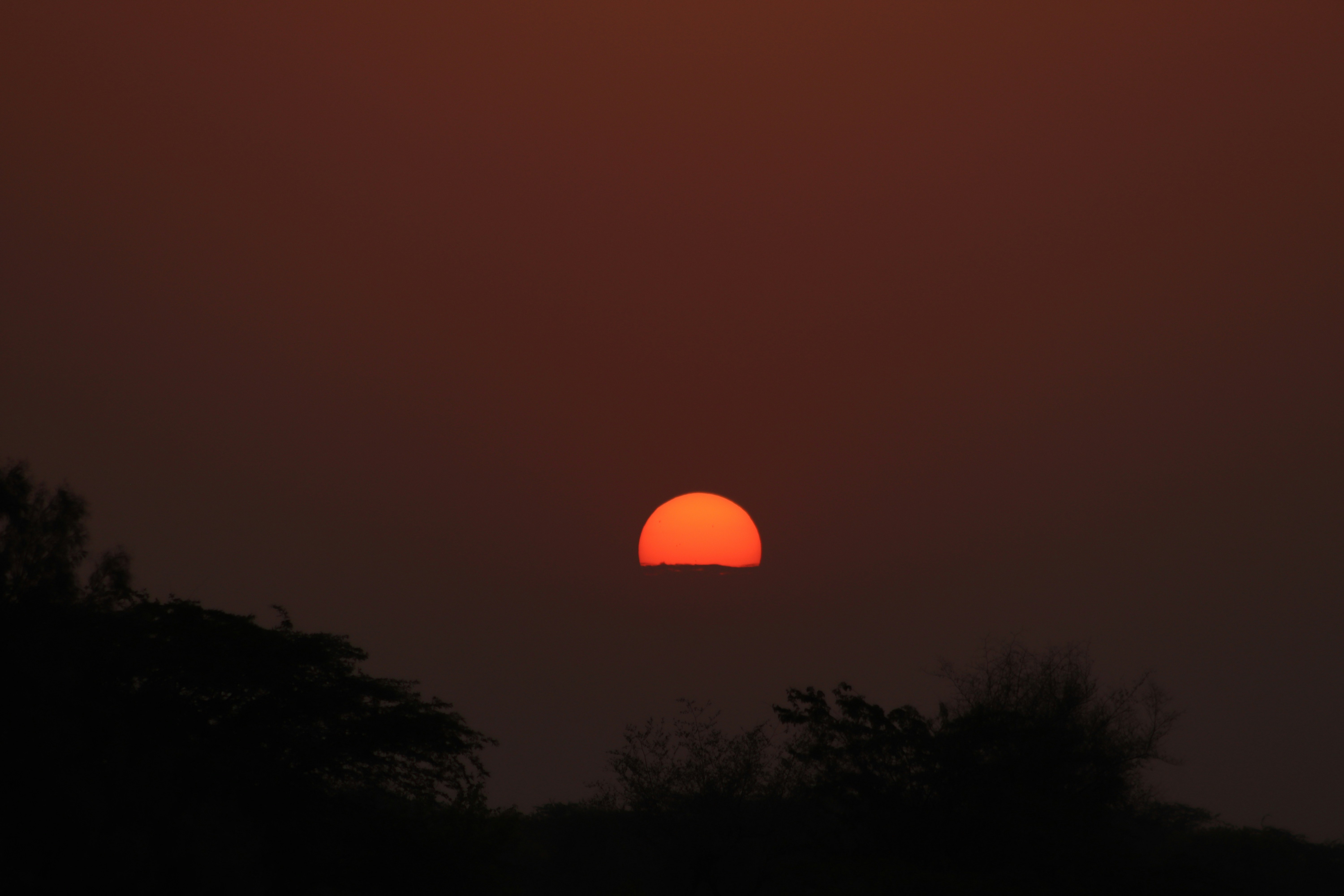 Photo by drphotographer152