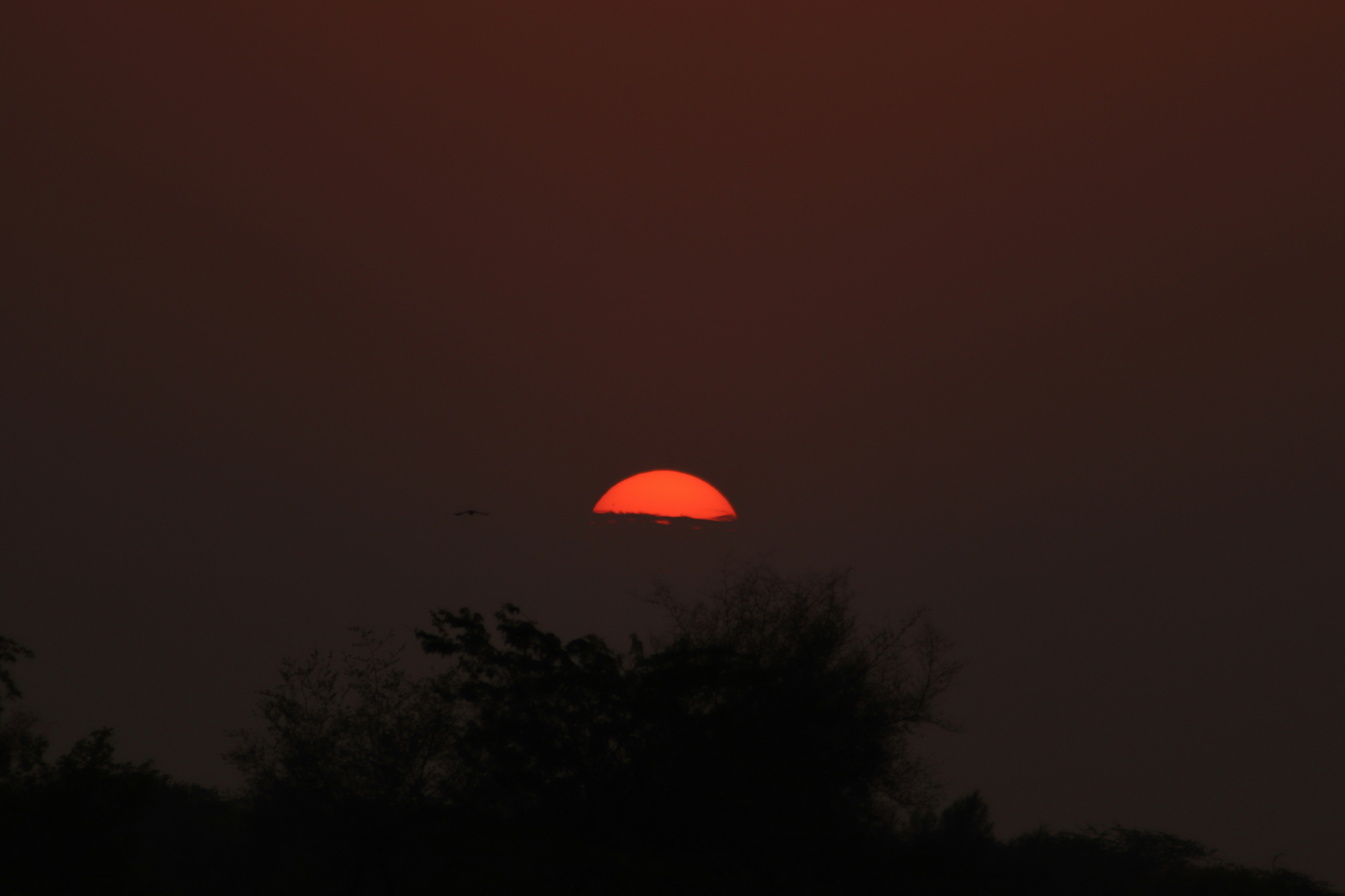 Photo by drphotographer152