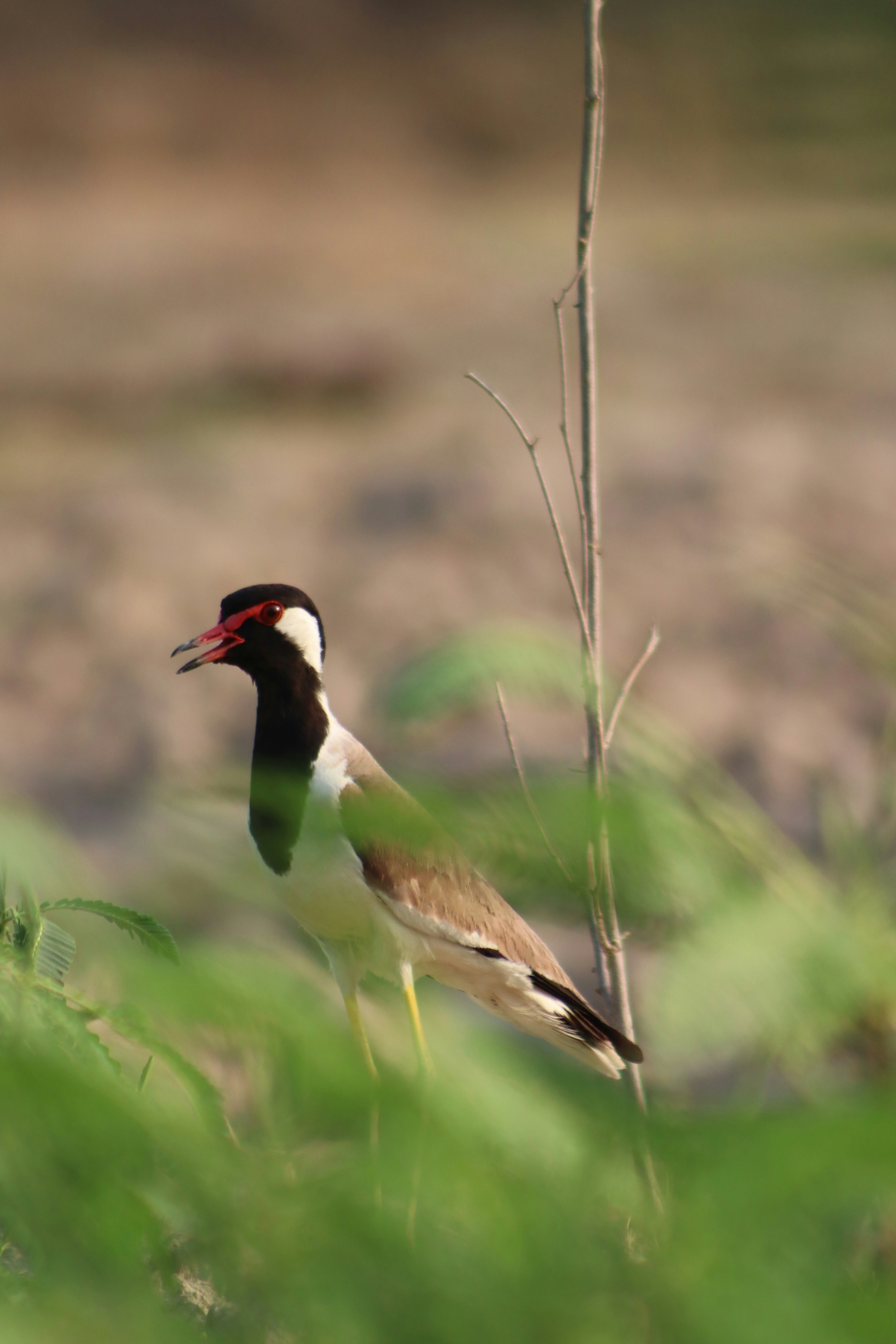 Photo by drphotographer152