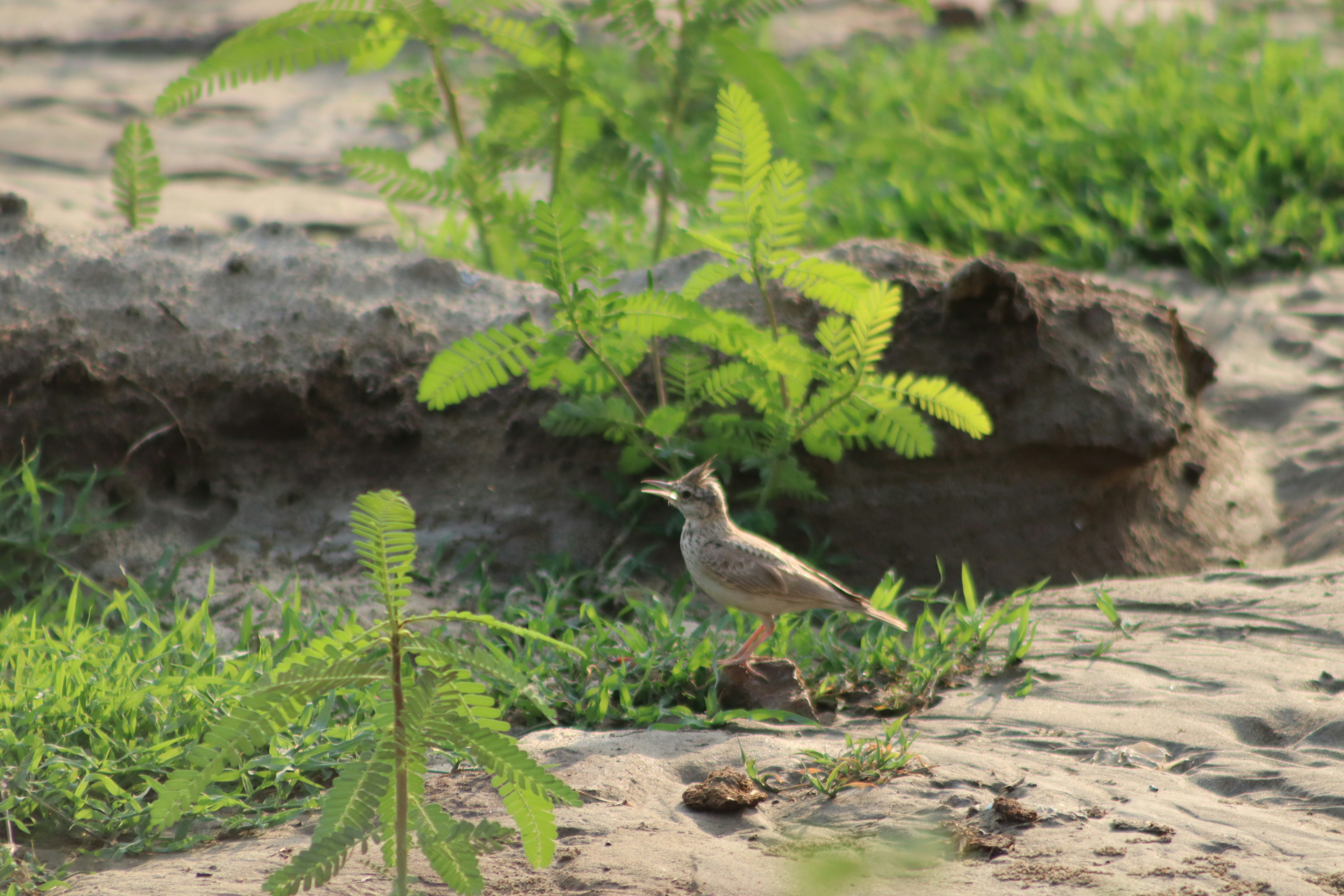 Photo by drphotographer152