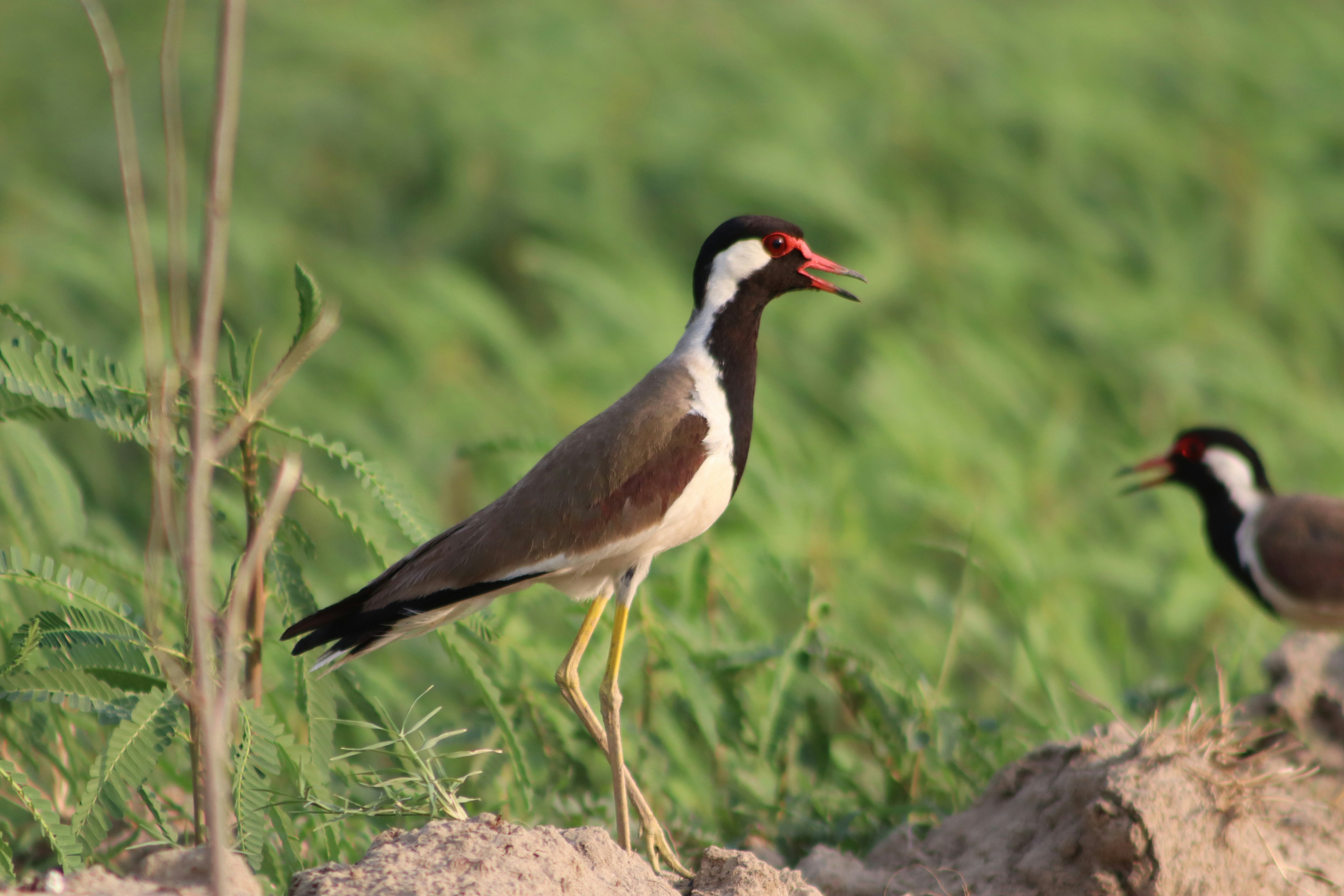 Photo by drphotographer152