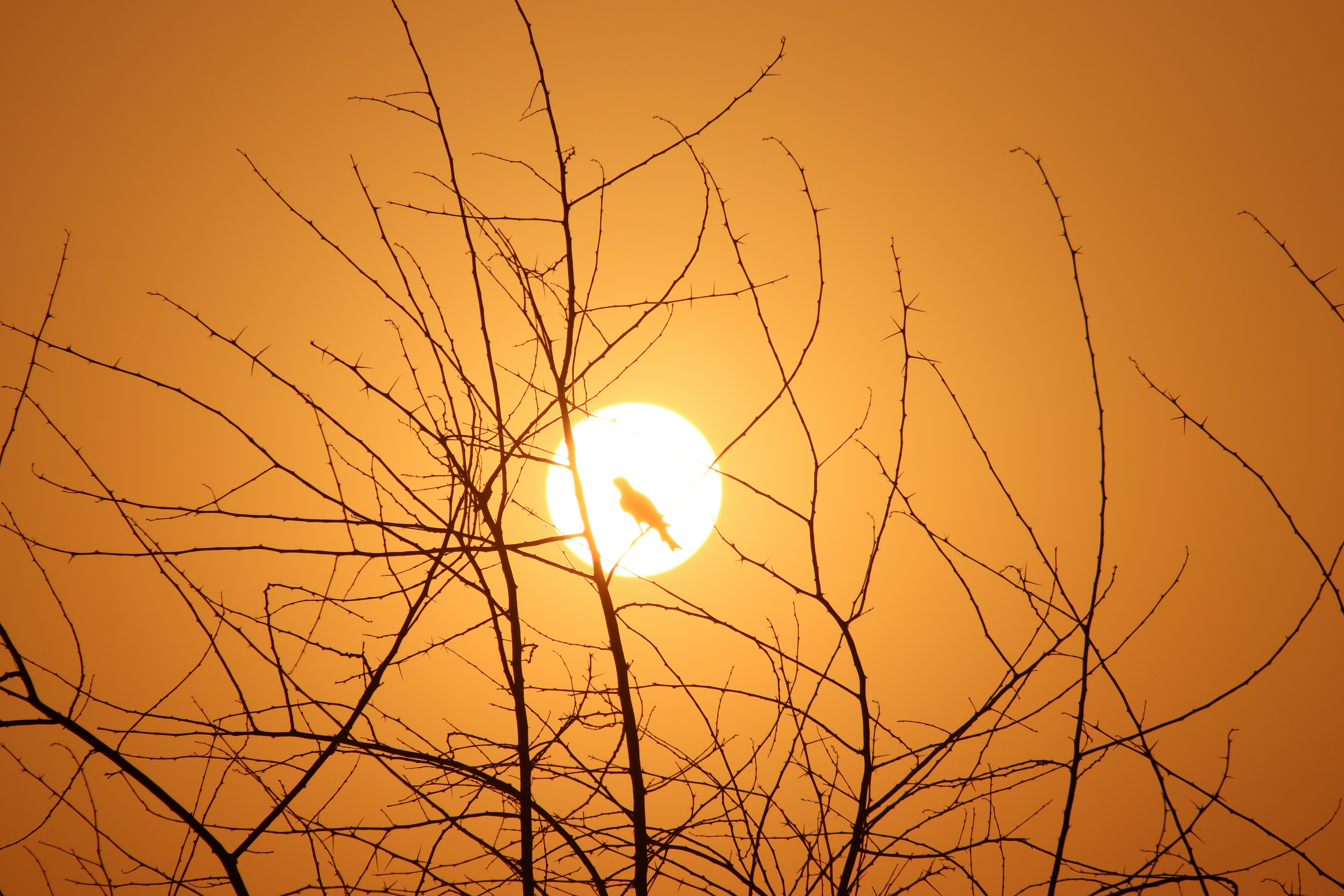 Photo by drphotographer152