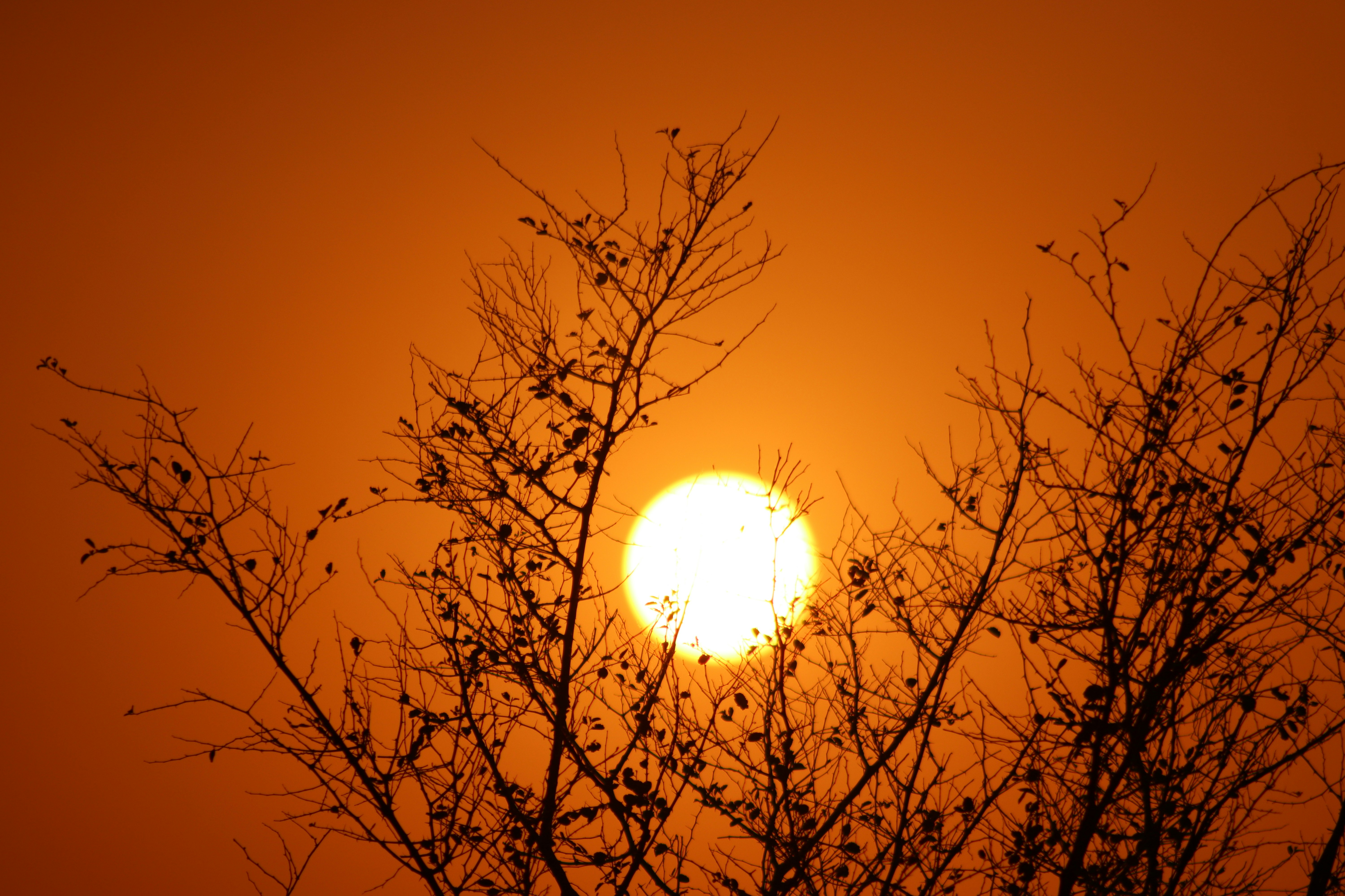 Photo by drphotographer152