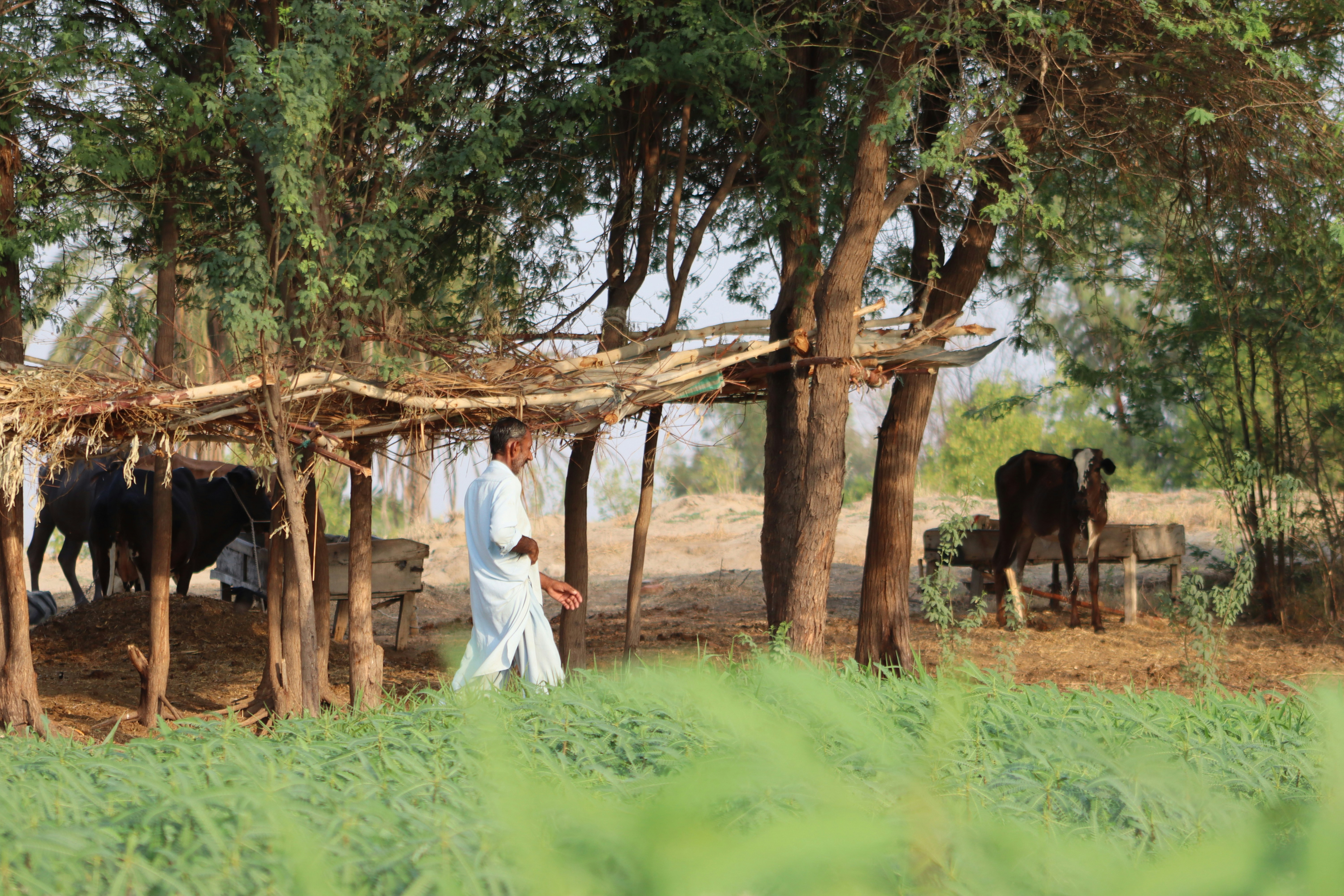 Photo by drphotographer152