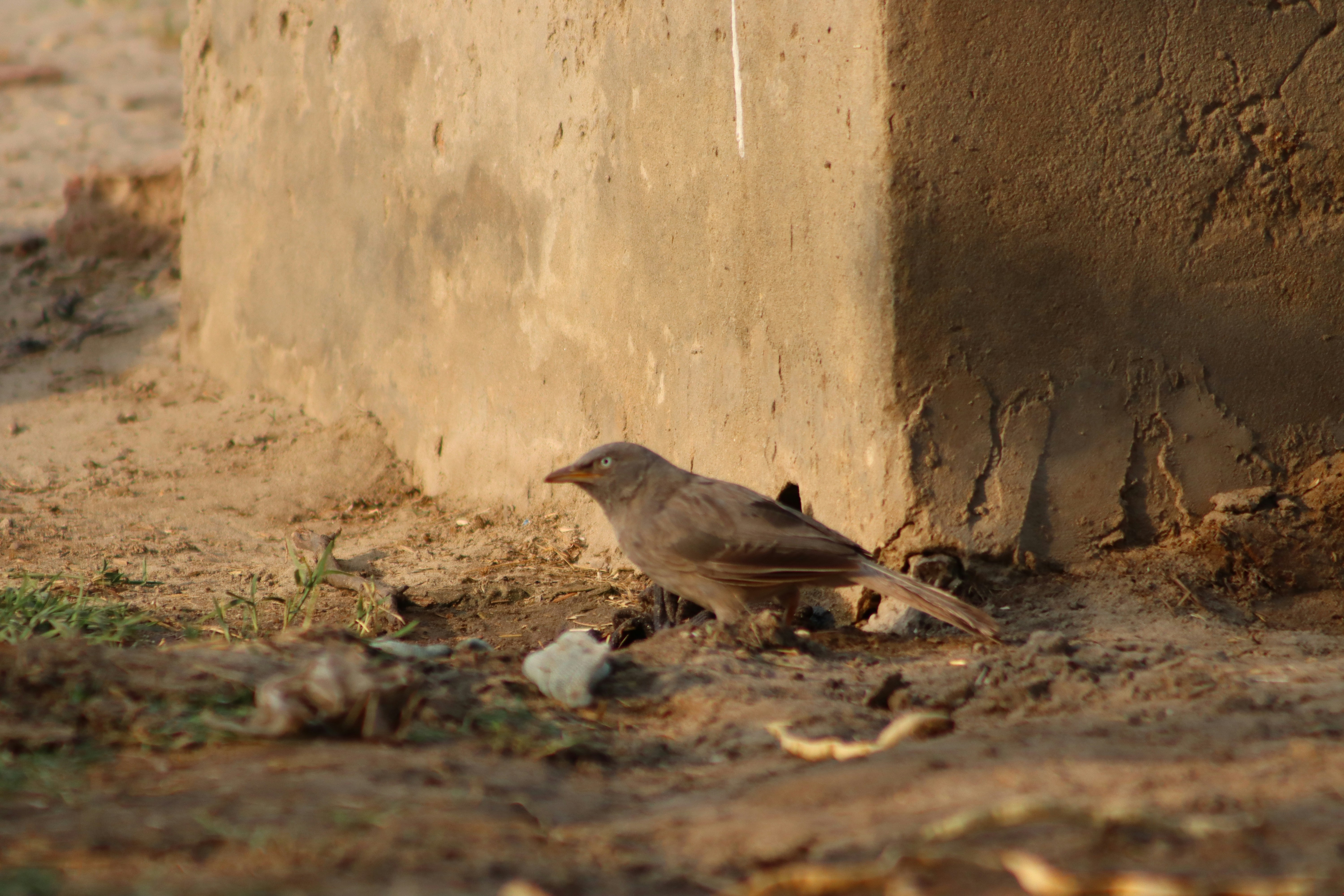 Photo by drphotographer152