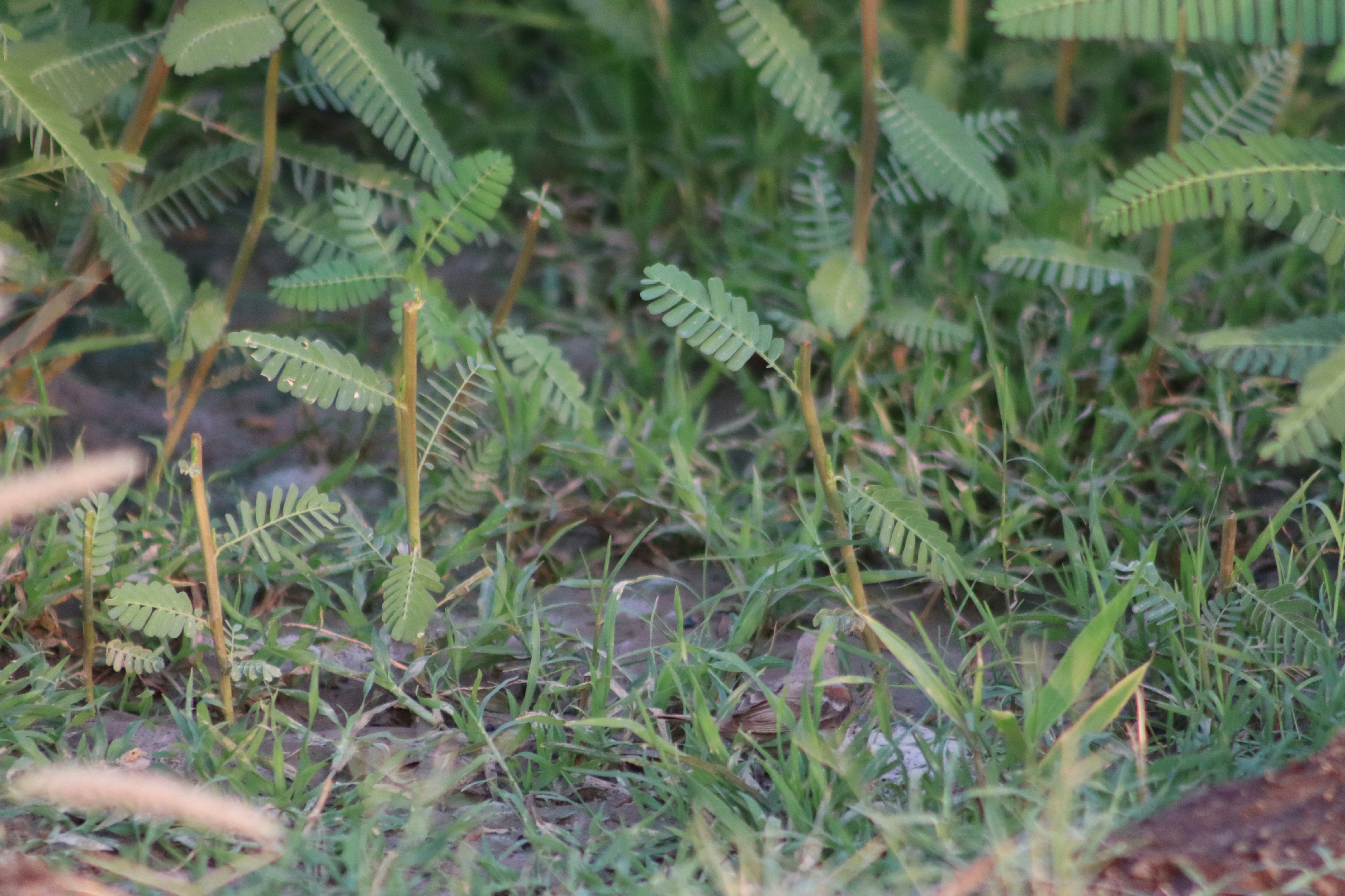 Photo by drphotographer152