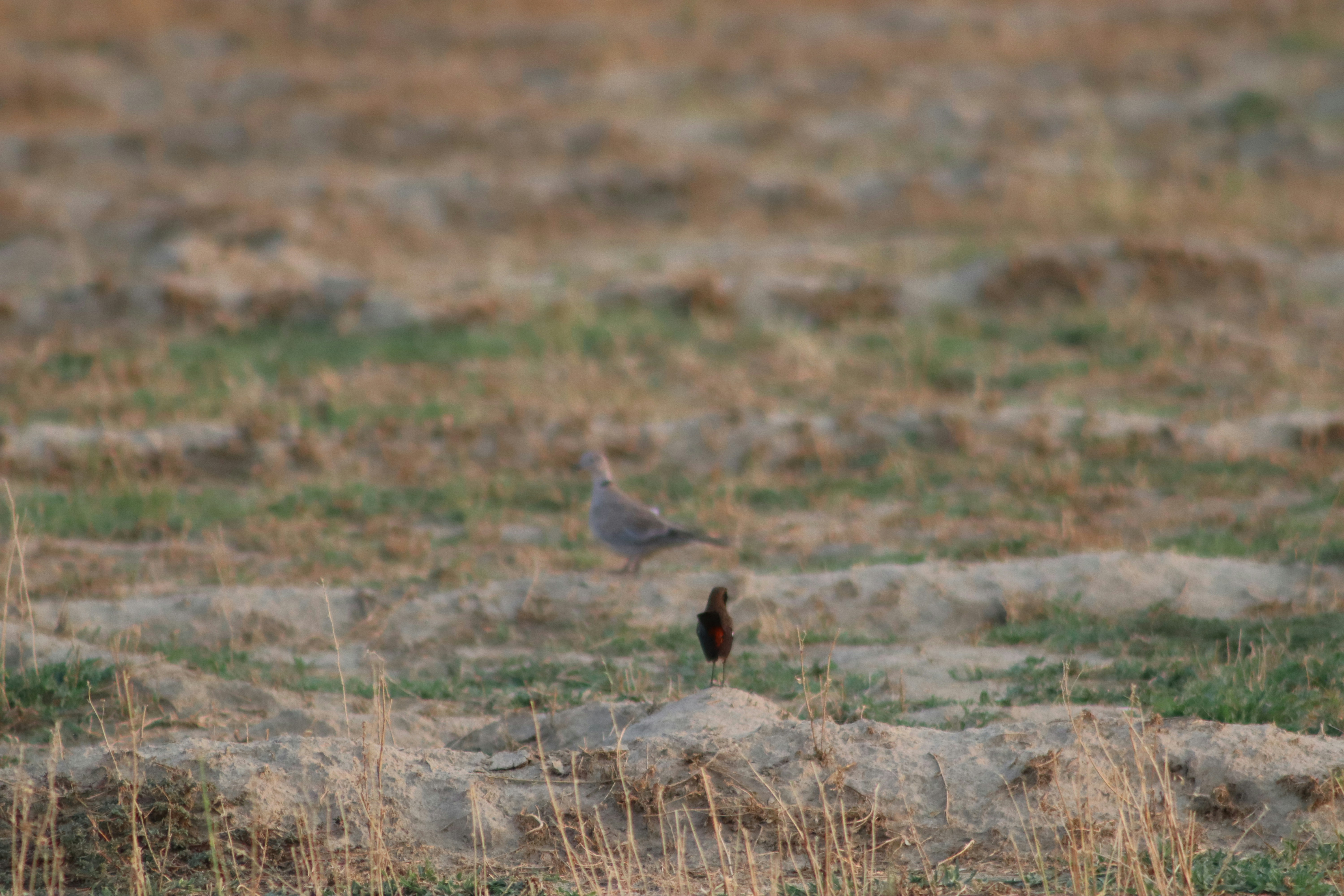 Photo by drphotographer152