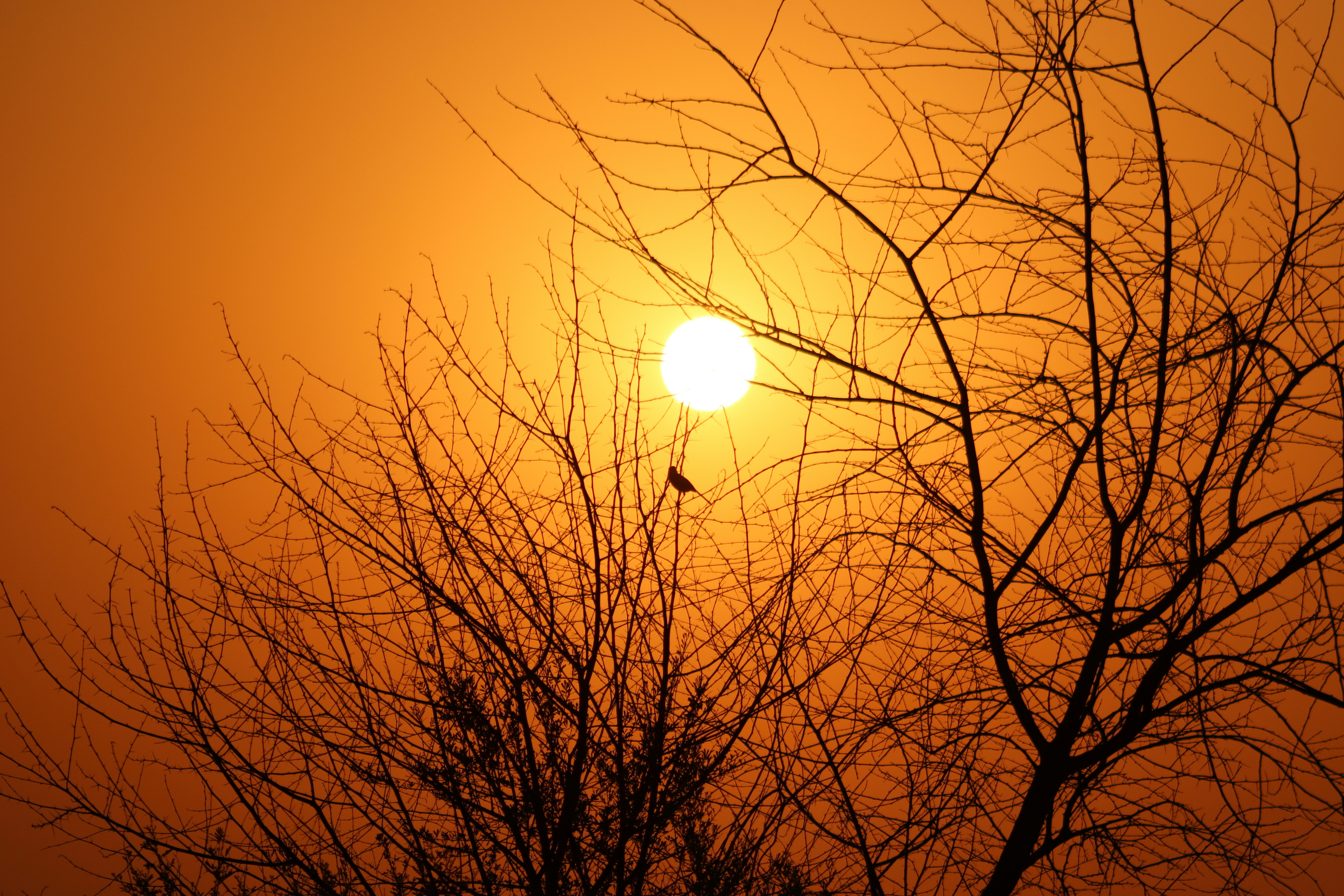 Photo by drphotographer152