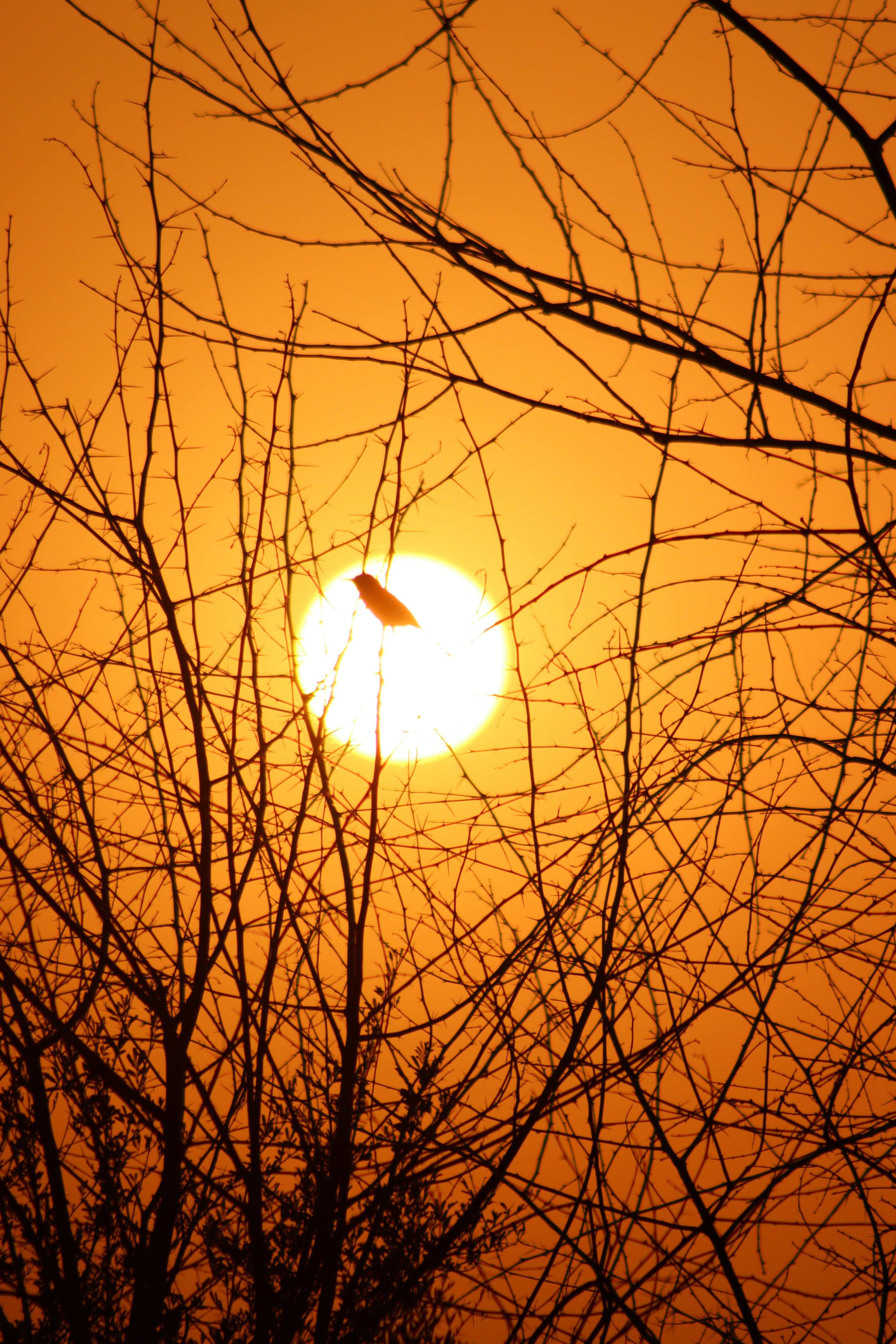 Photo by drphotographer152