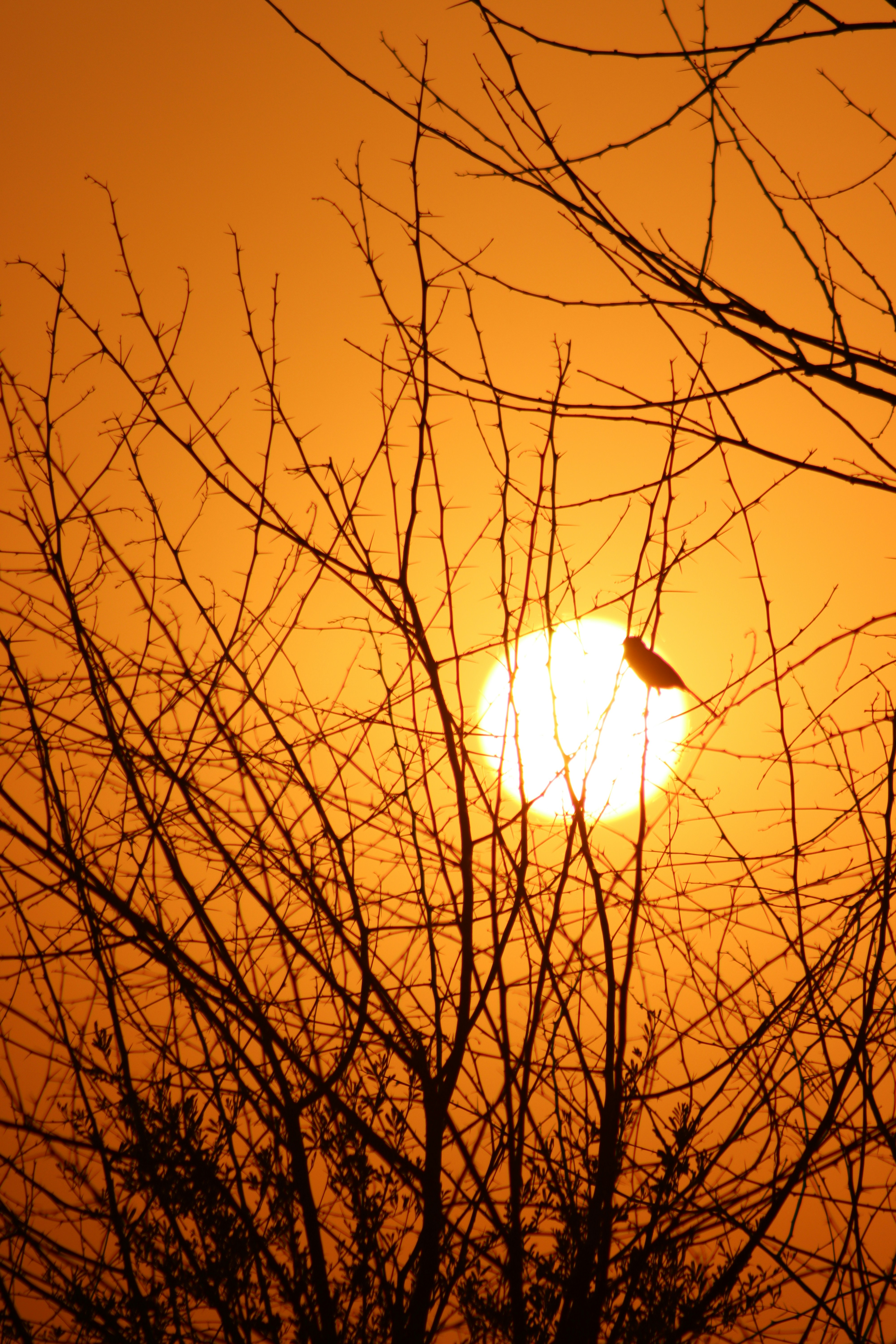 Photo by drphotographer152