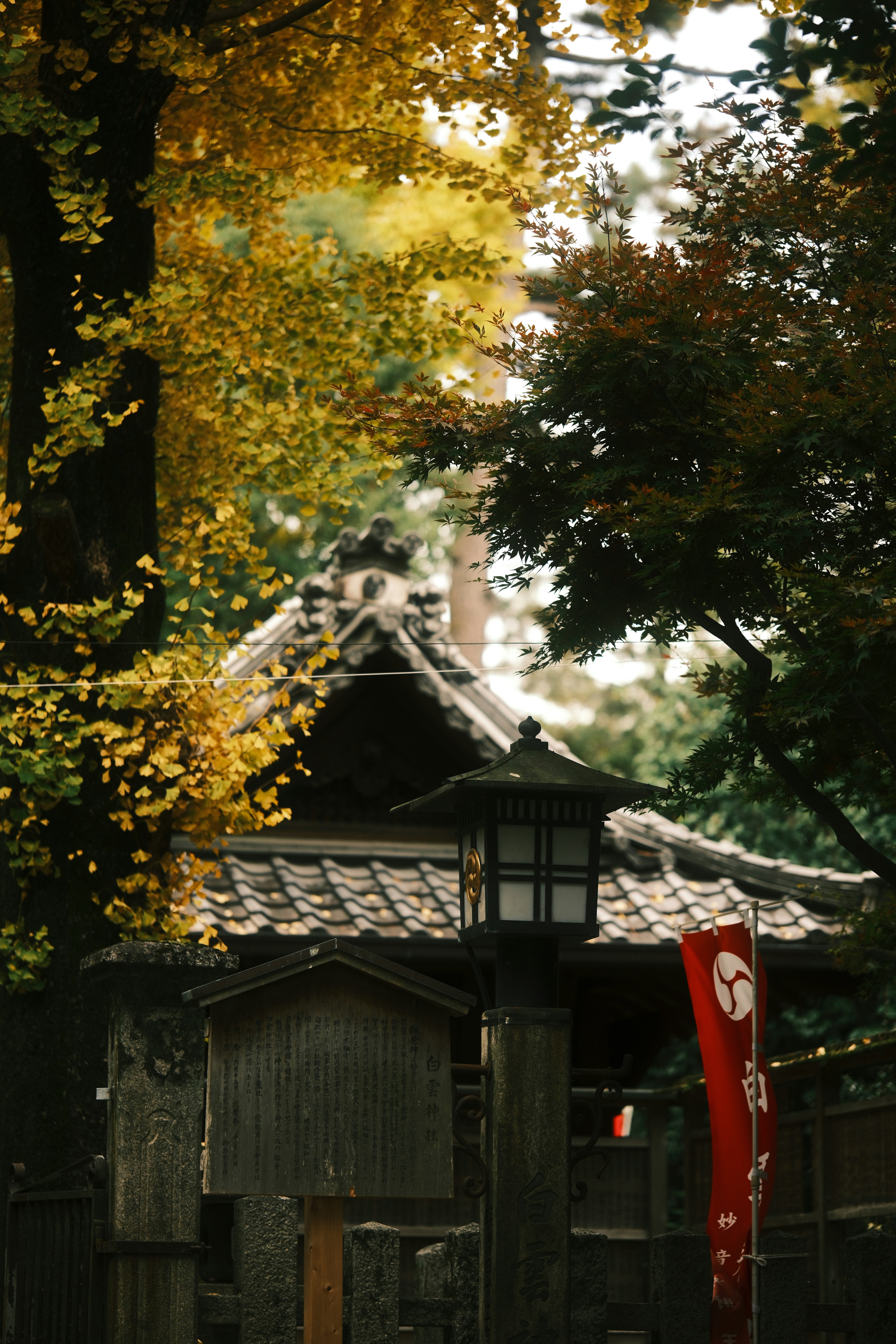 Photo by ginkgoshutter