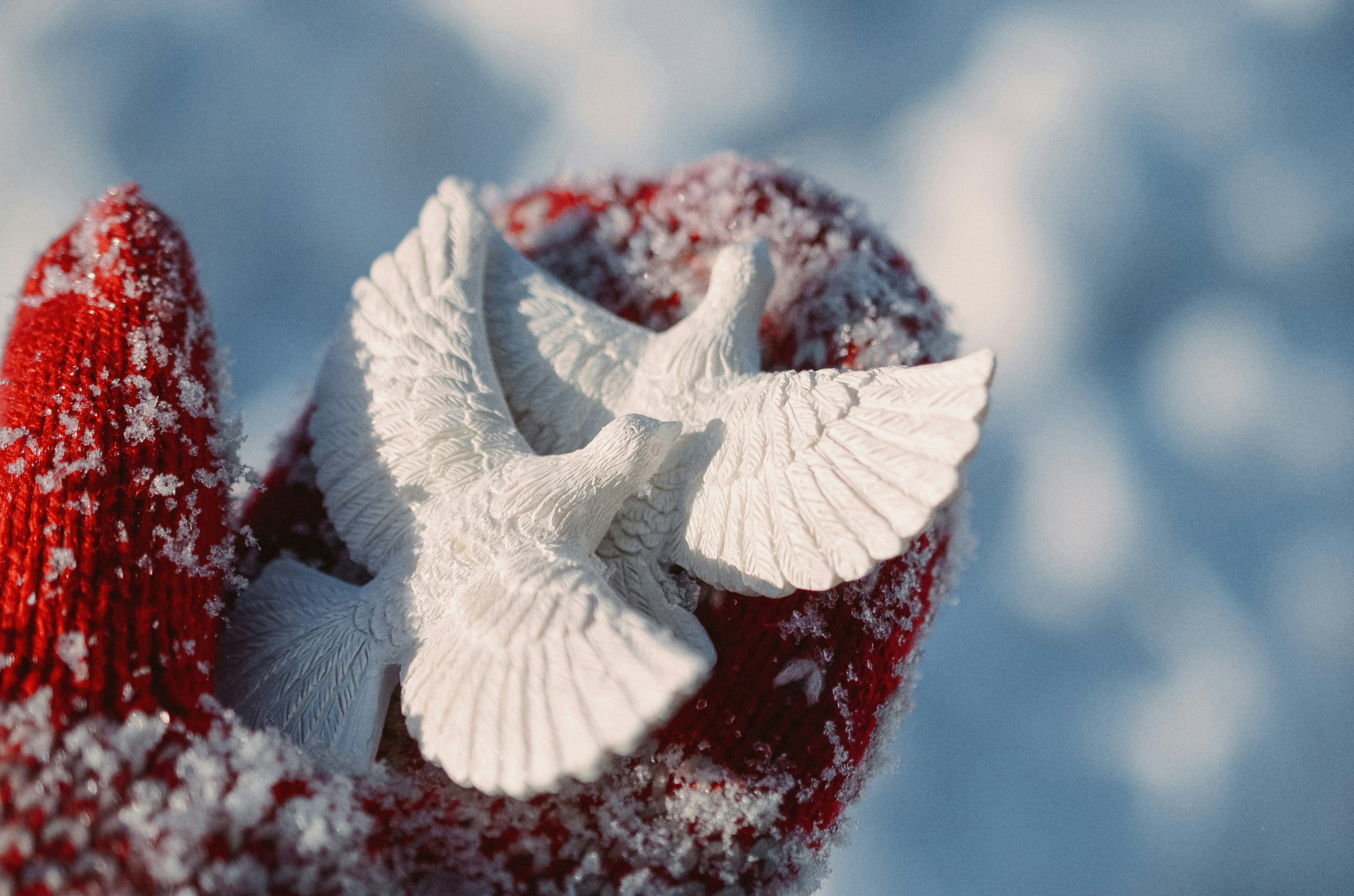 A white dove on a red glove covered in snow