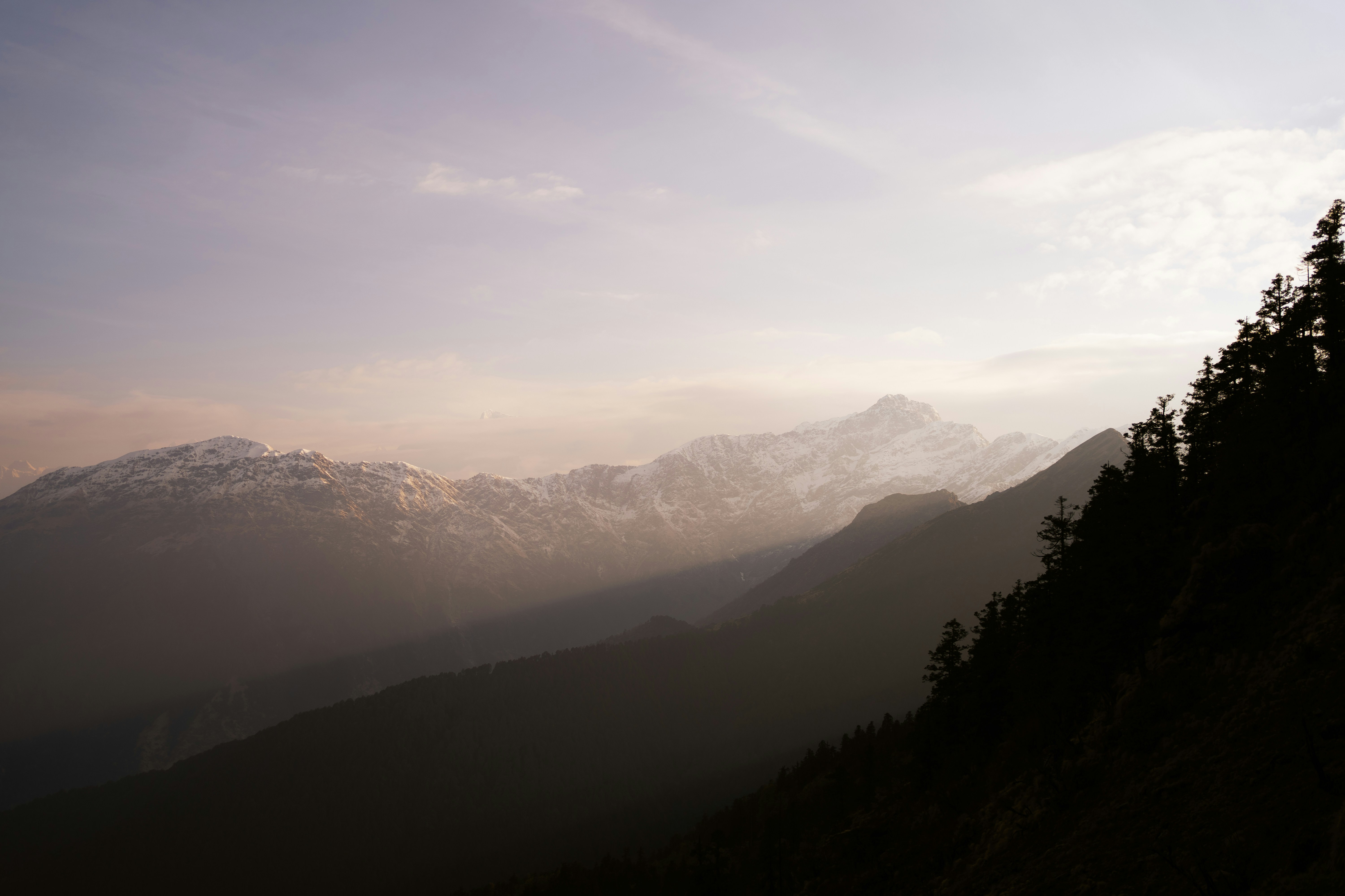 Photo by essencebysn