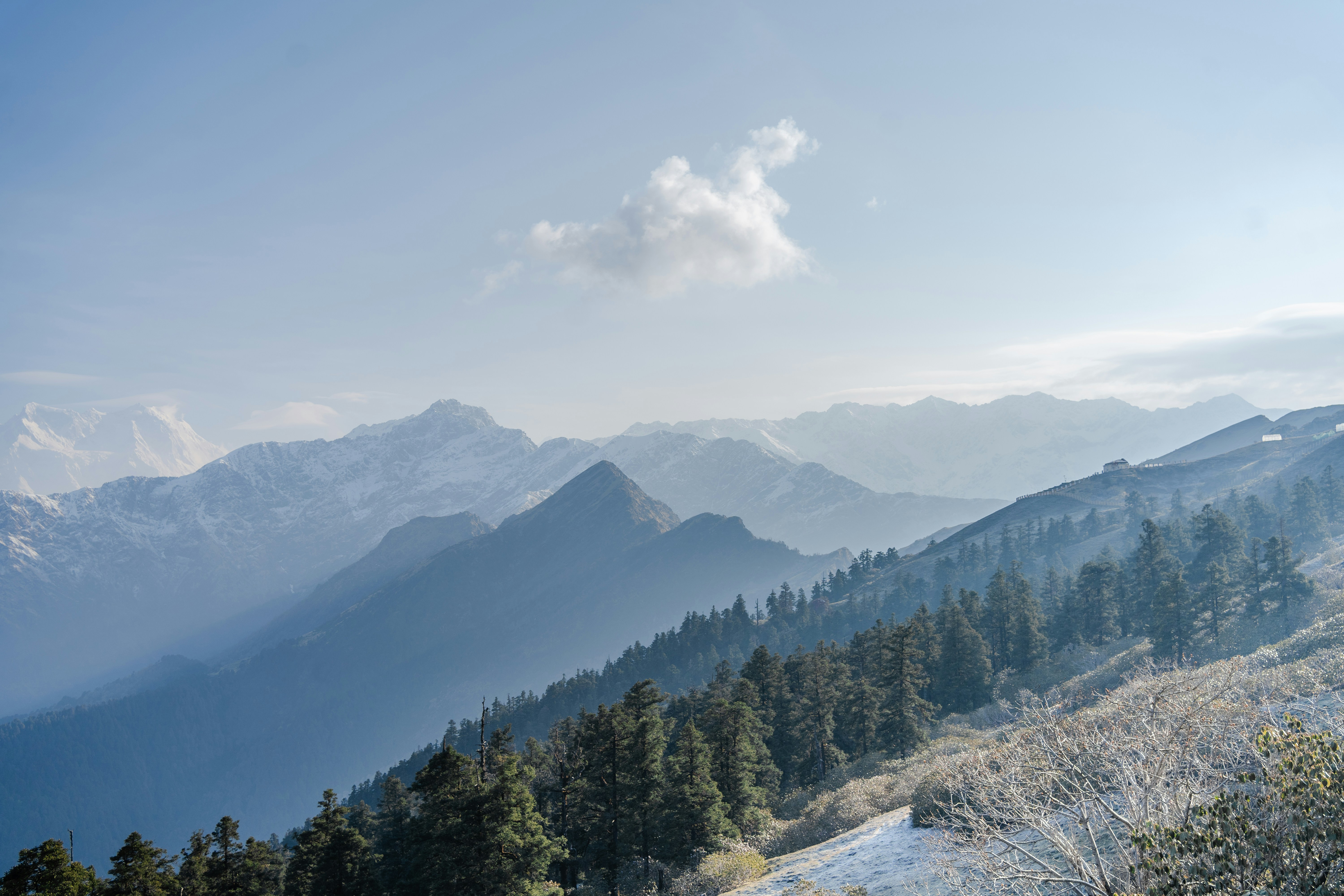 Photo by essencebysn