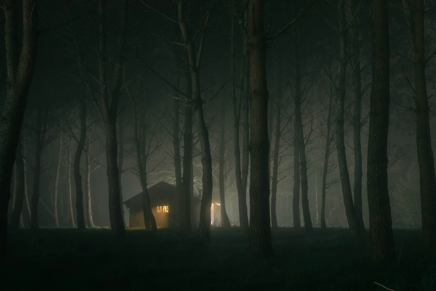 Distant house hidden inside a dark forest