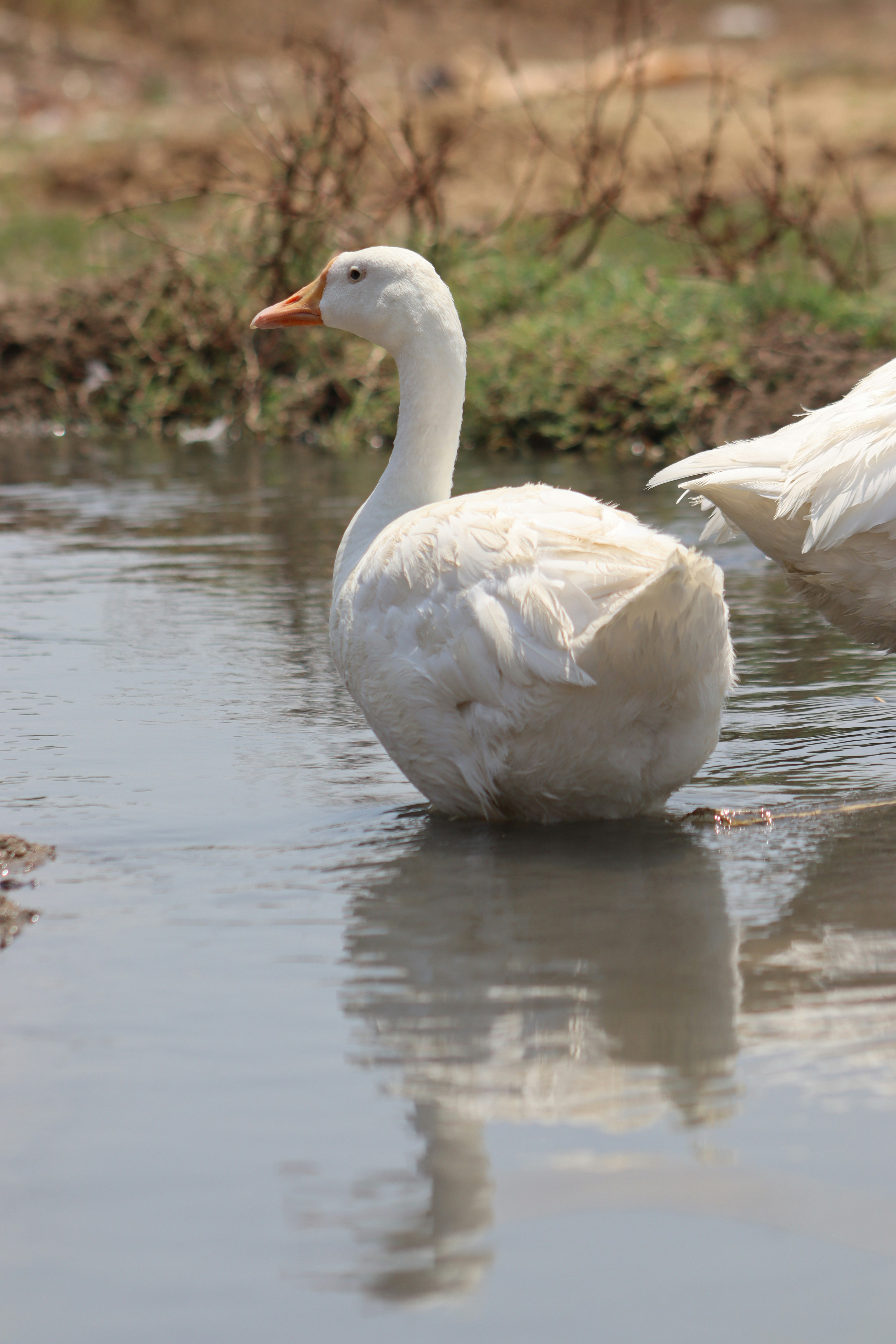 Photo by drphotographer152